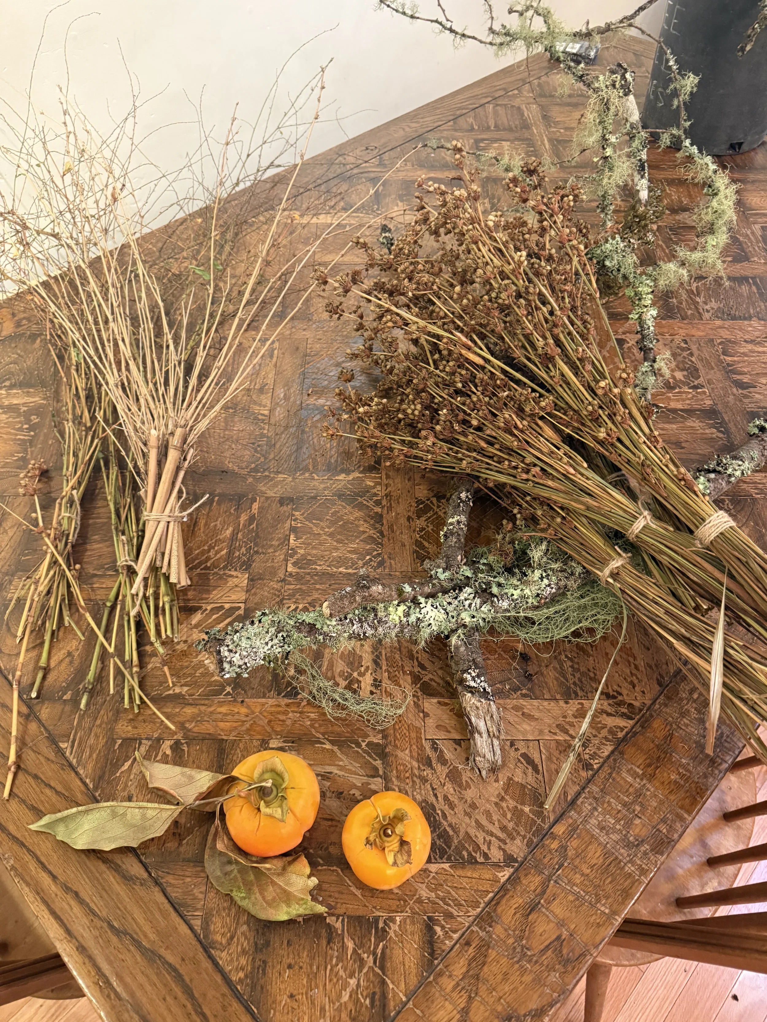 Dried Libertia Bunch