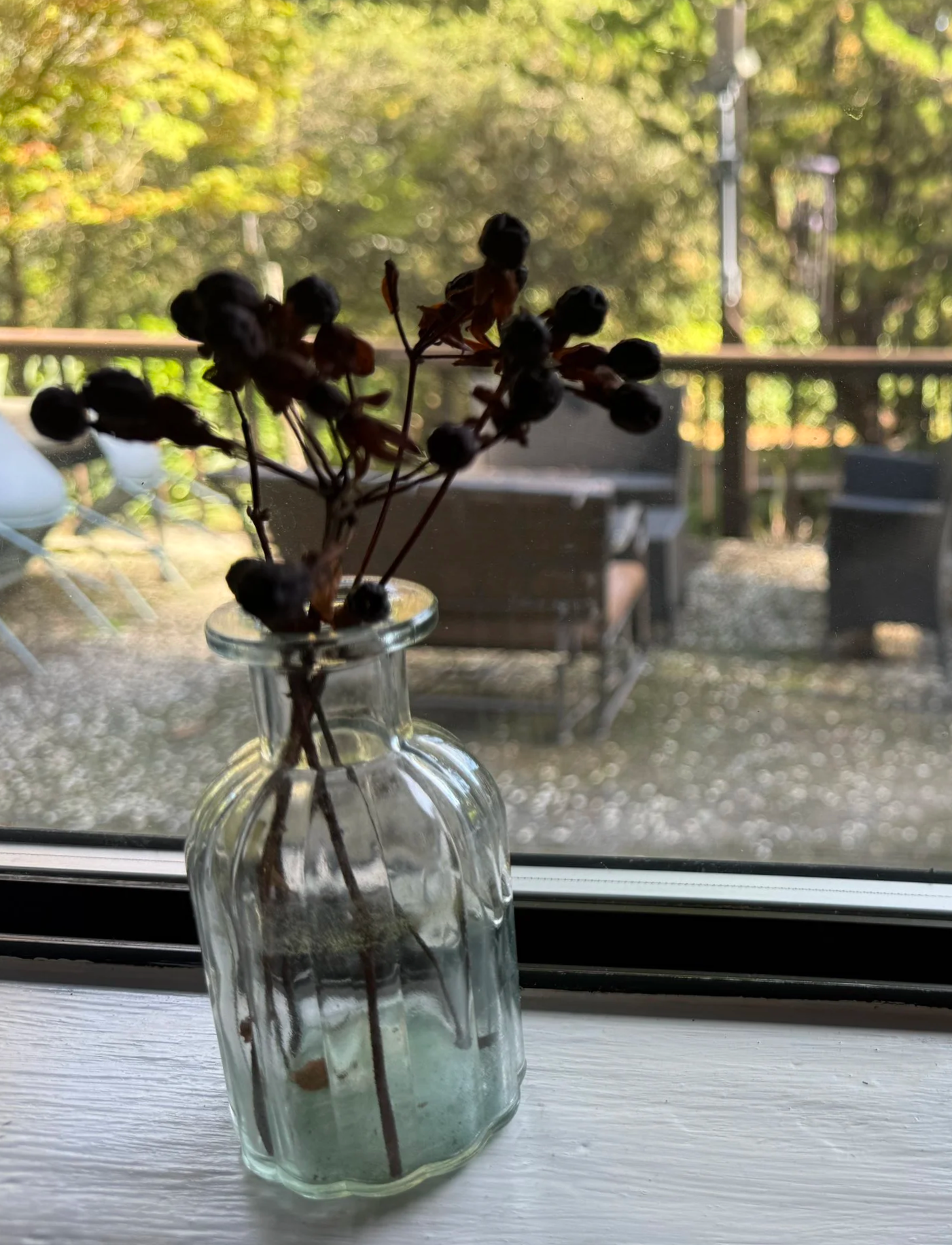 Dried Hypericum Bunch