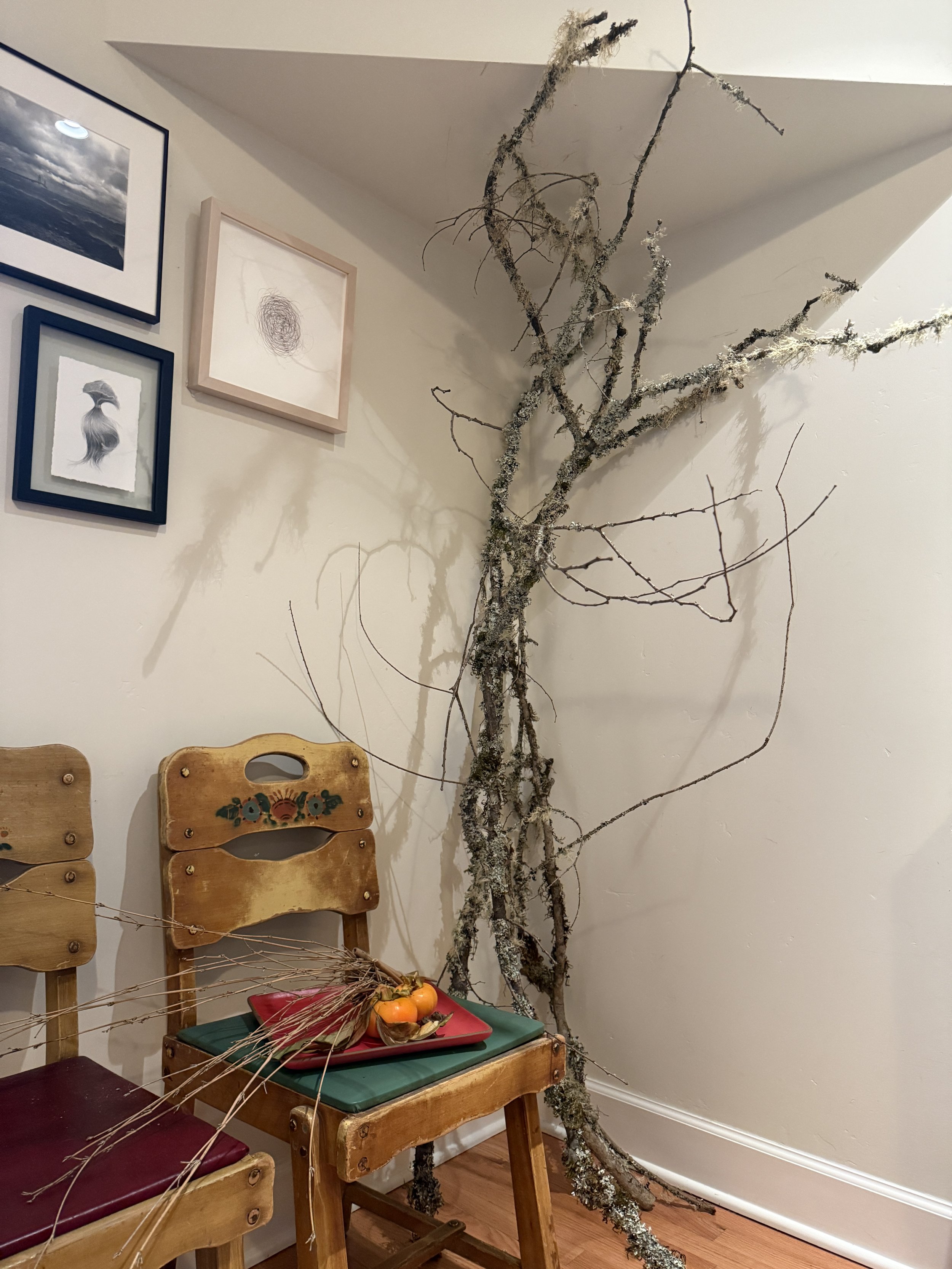 Lichen branch - large