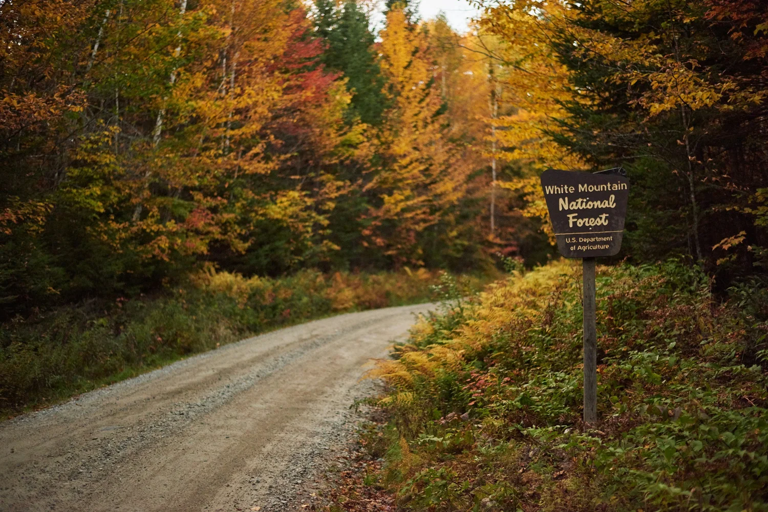 Season 3, Episode 22: On the Evolution of Outdoor Therapy with Will White episode artwork