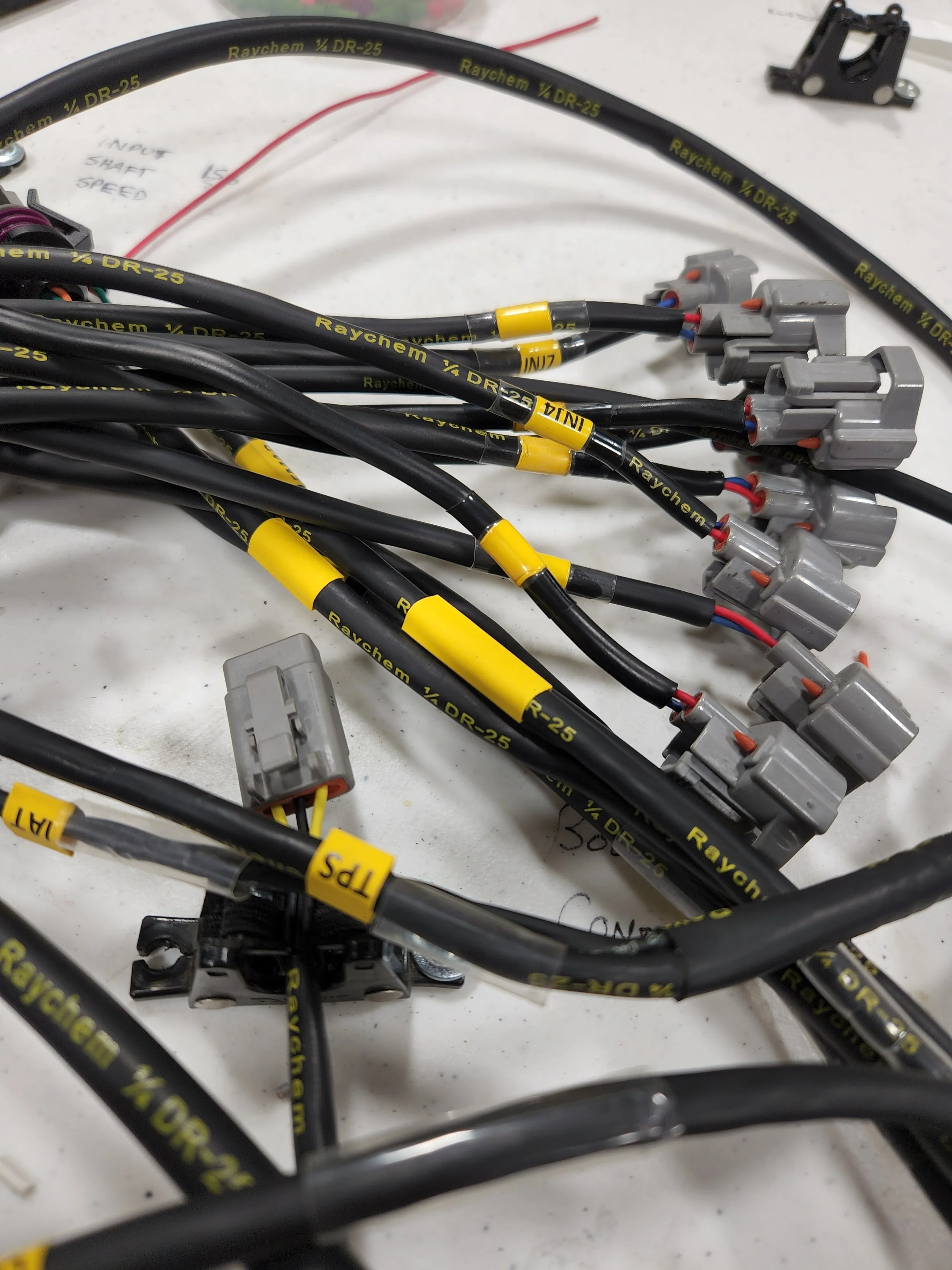 Custom Engine Wire Harness