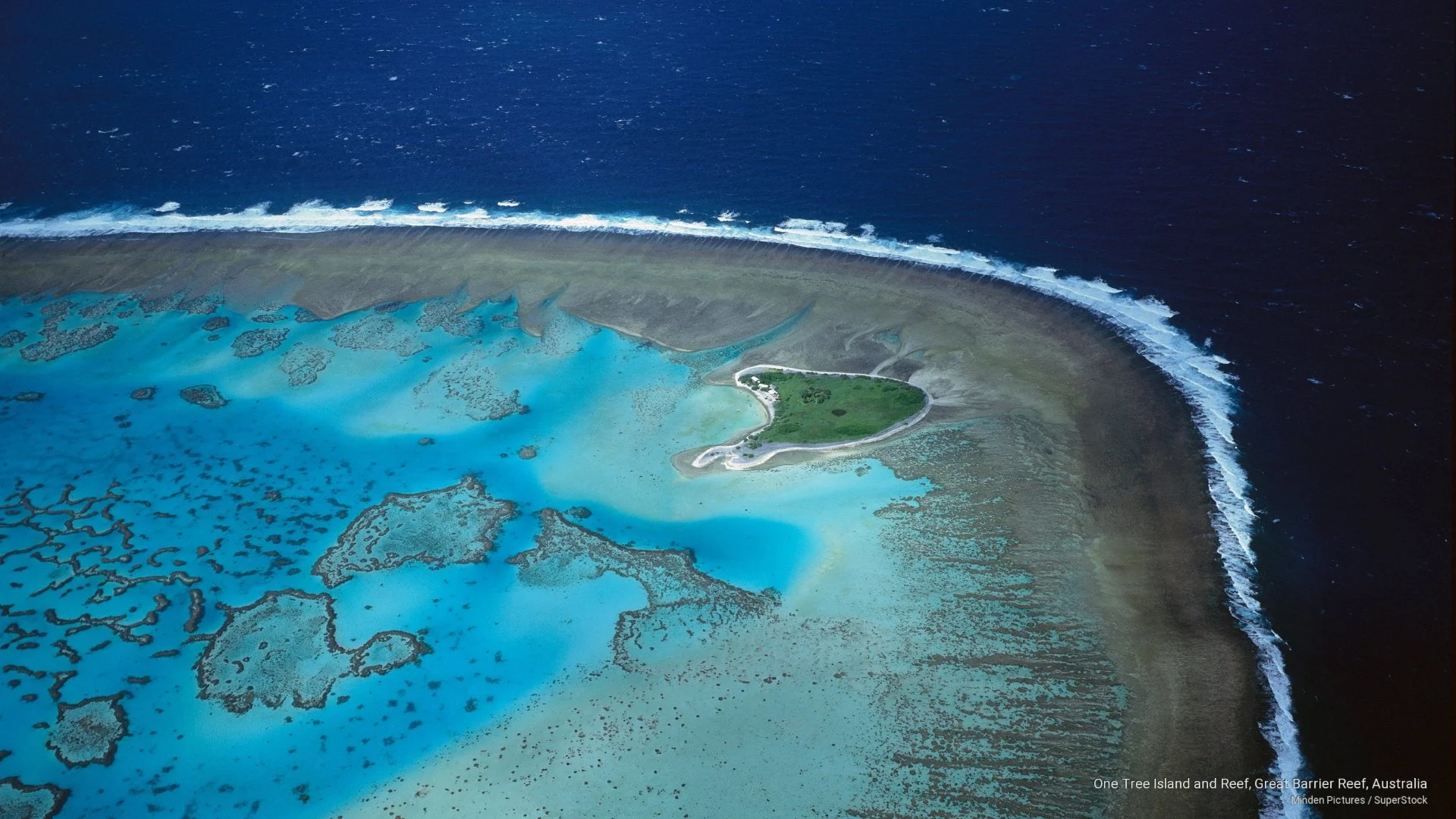 Aerial view of One Tree Island and reef, Great Barrier Reef, Australia, showing a small green island surrounded by vibrant blue and turquoise shallow waters and coral formations, with a dark blue ocean in the background.