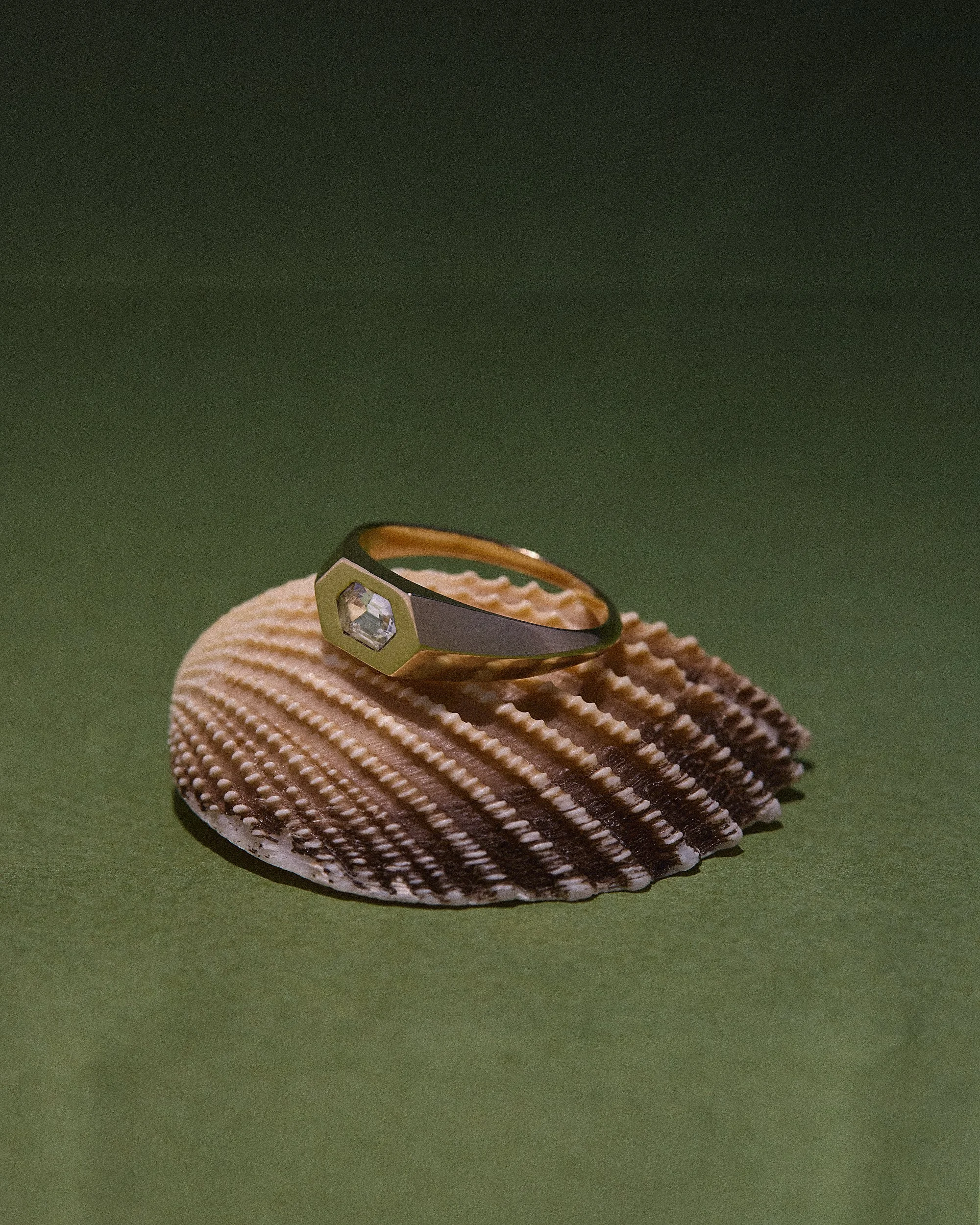 251114 SS x HH_1549.jpg