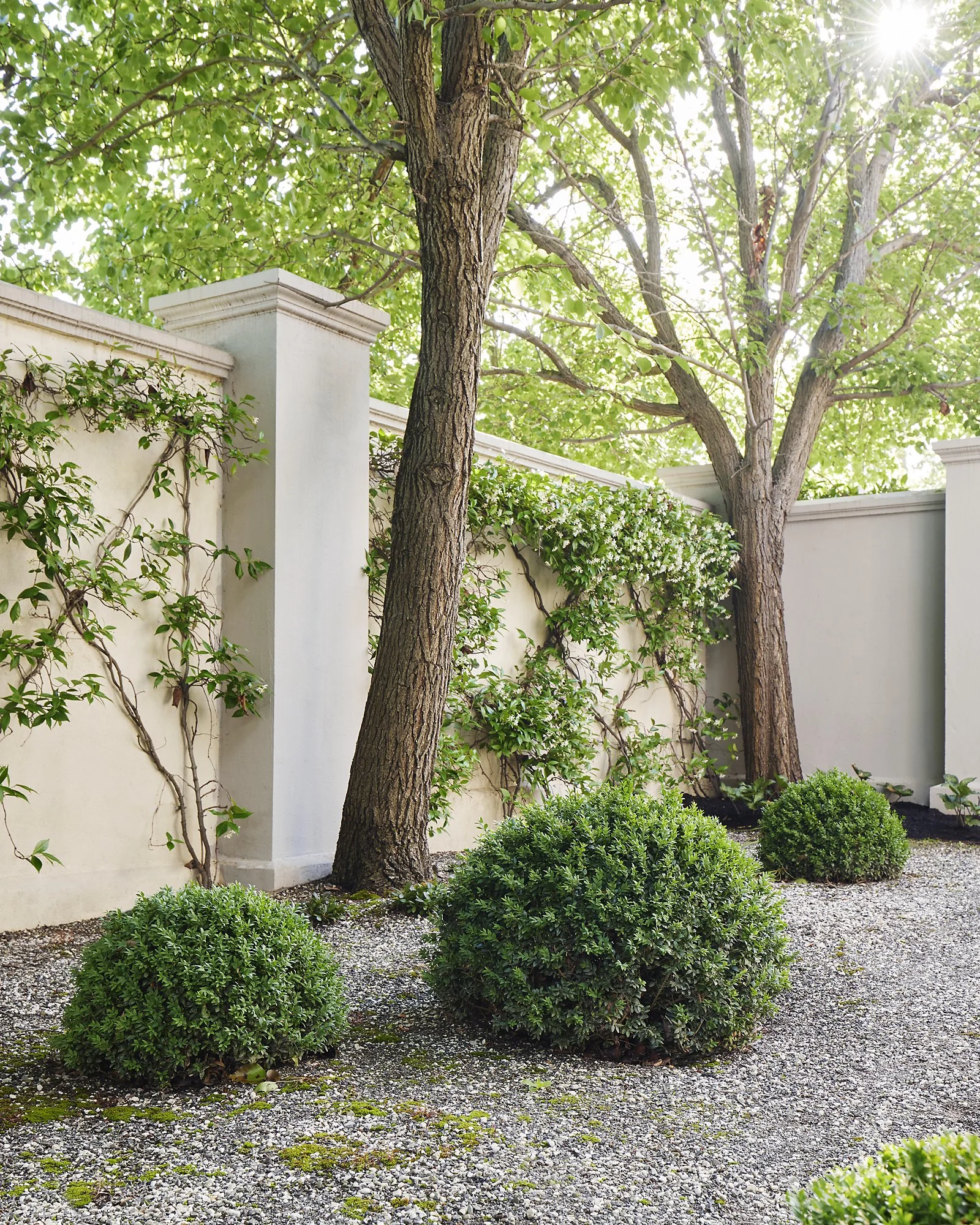 231206 IBG Kew-0186.jpg