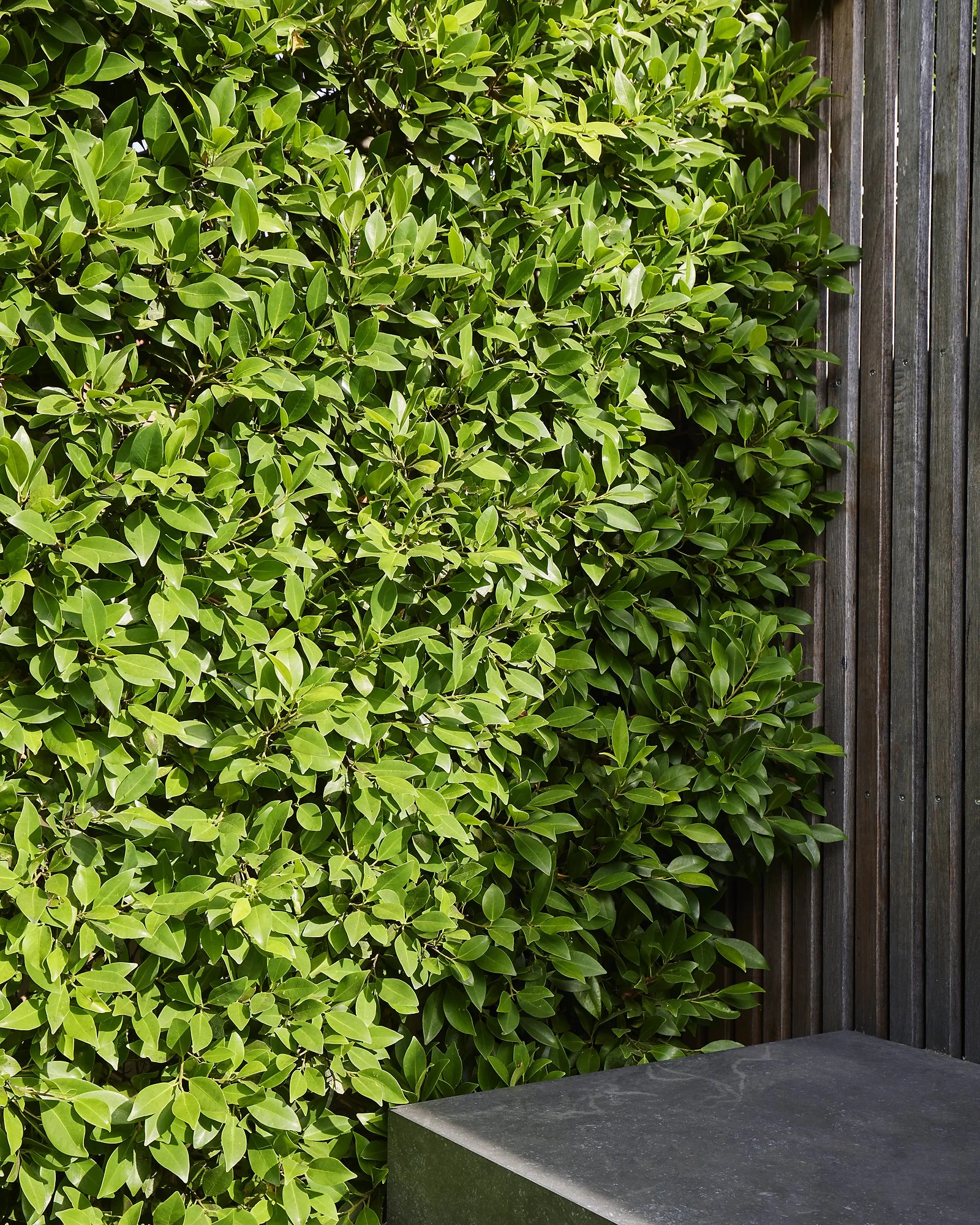 231206 IBG Kew-0077.jpg