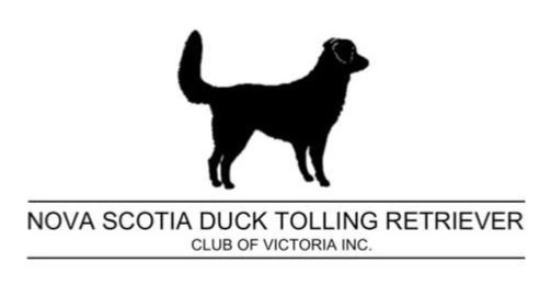 Nova Scotia Duck Tolling Retriever Club of Victoria