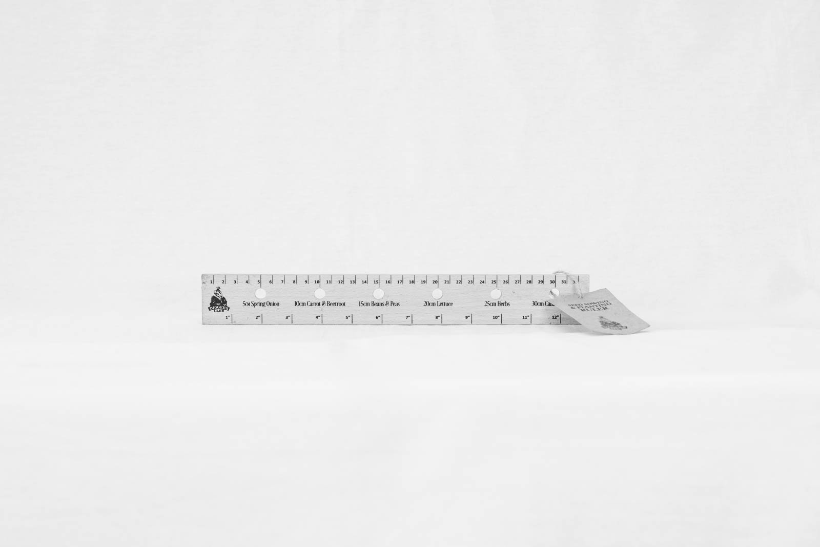 isabelle jai photography equidistant-22.jpg