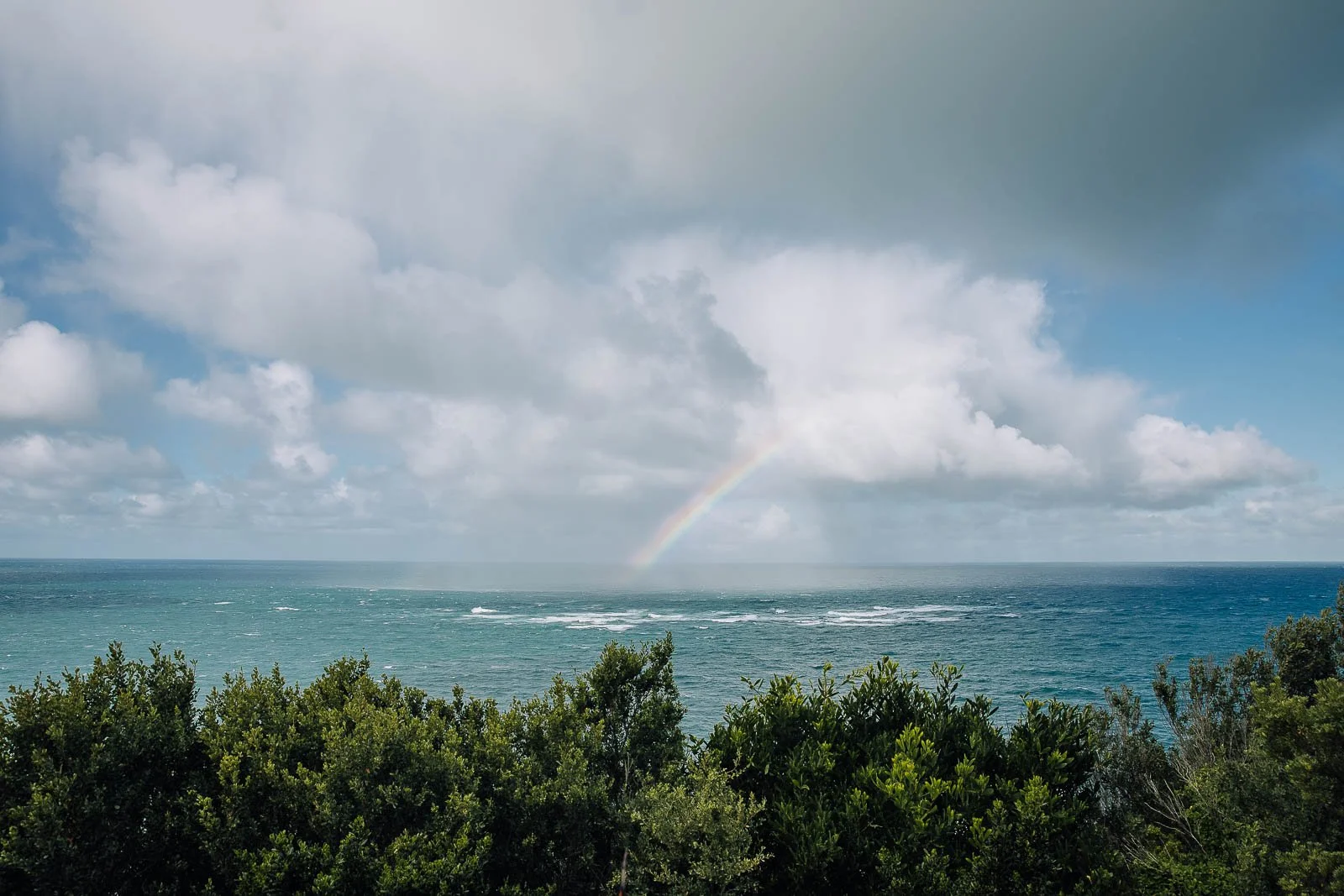 isabelle jai photography apollo bay-6.jpg