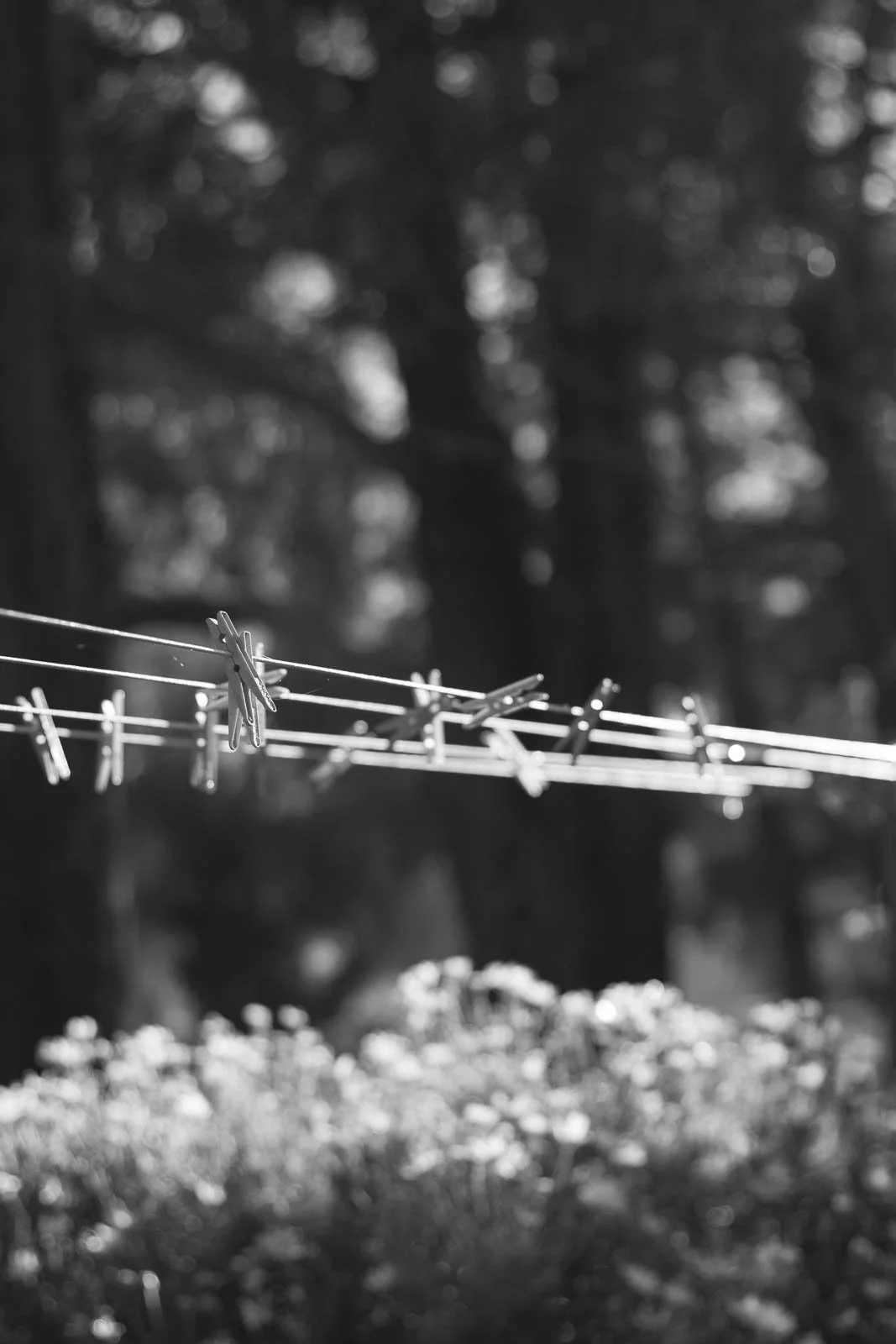 isabelle jai photography patria-40.jpg