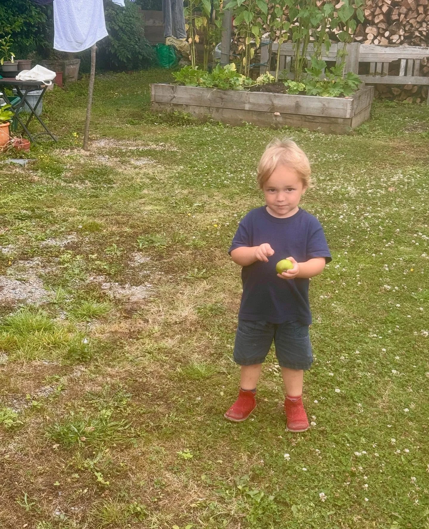 Little green apple. 

#smallgardener