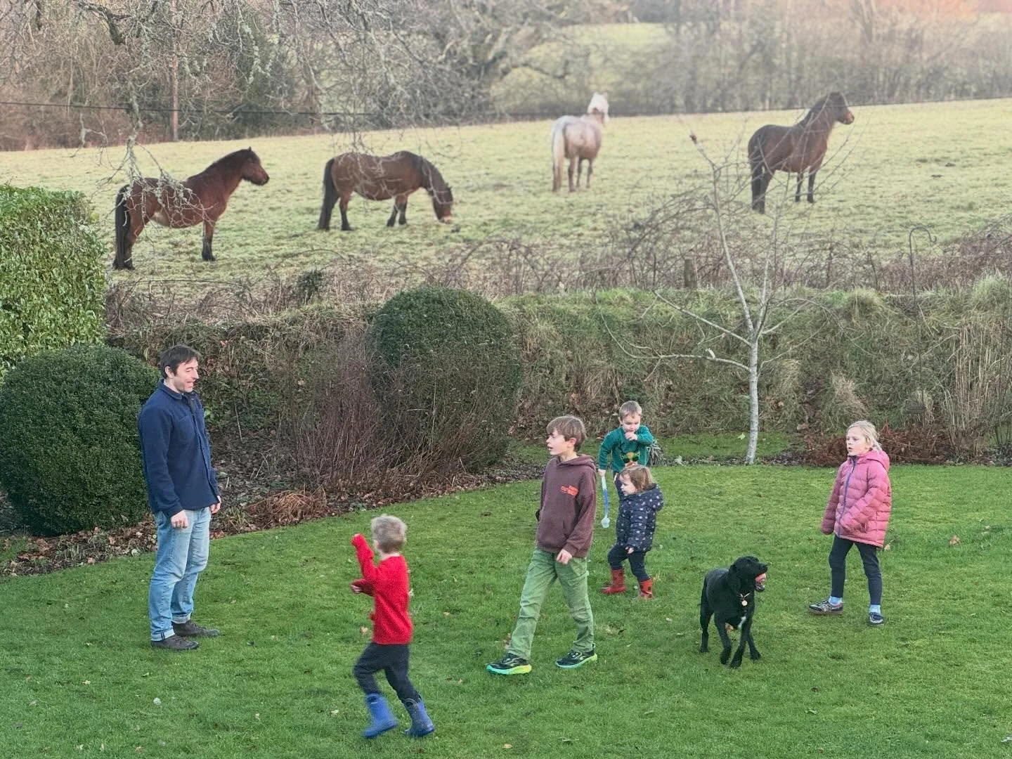 Three species - all pretty relaxed. 
#humans
#humansbestfriend 
#dartmoorponies
