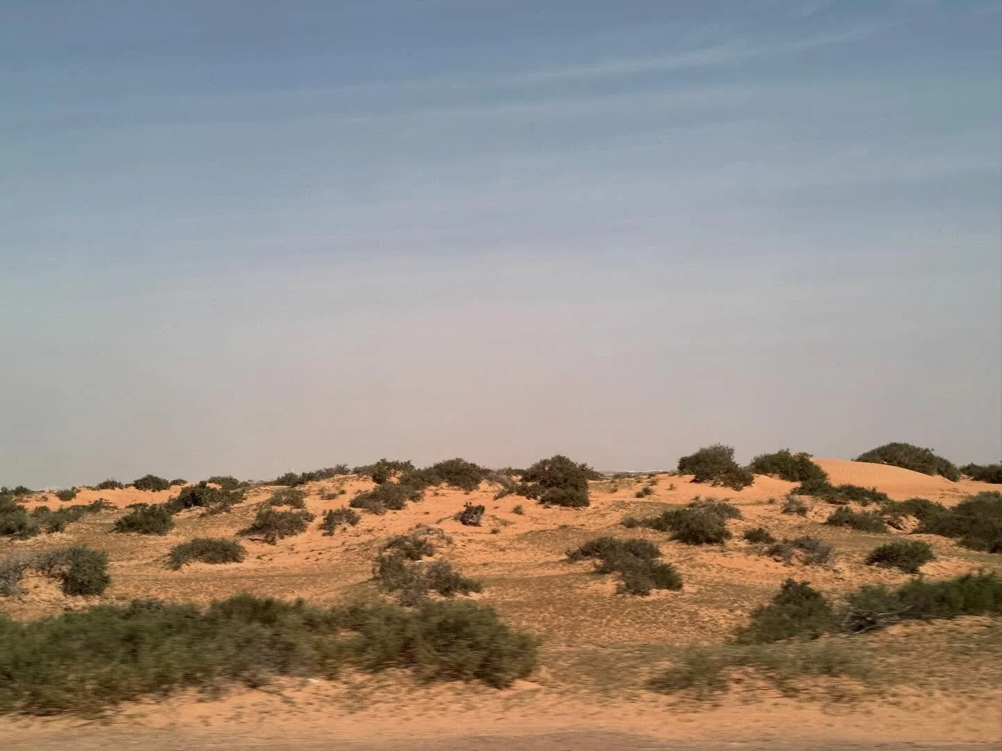 Desert, Mosque on the motorway and small, thumb sucking travelling companion. 

#arabiandays
#travelsintheemirates