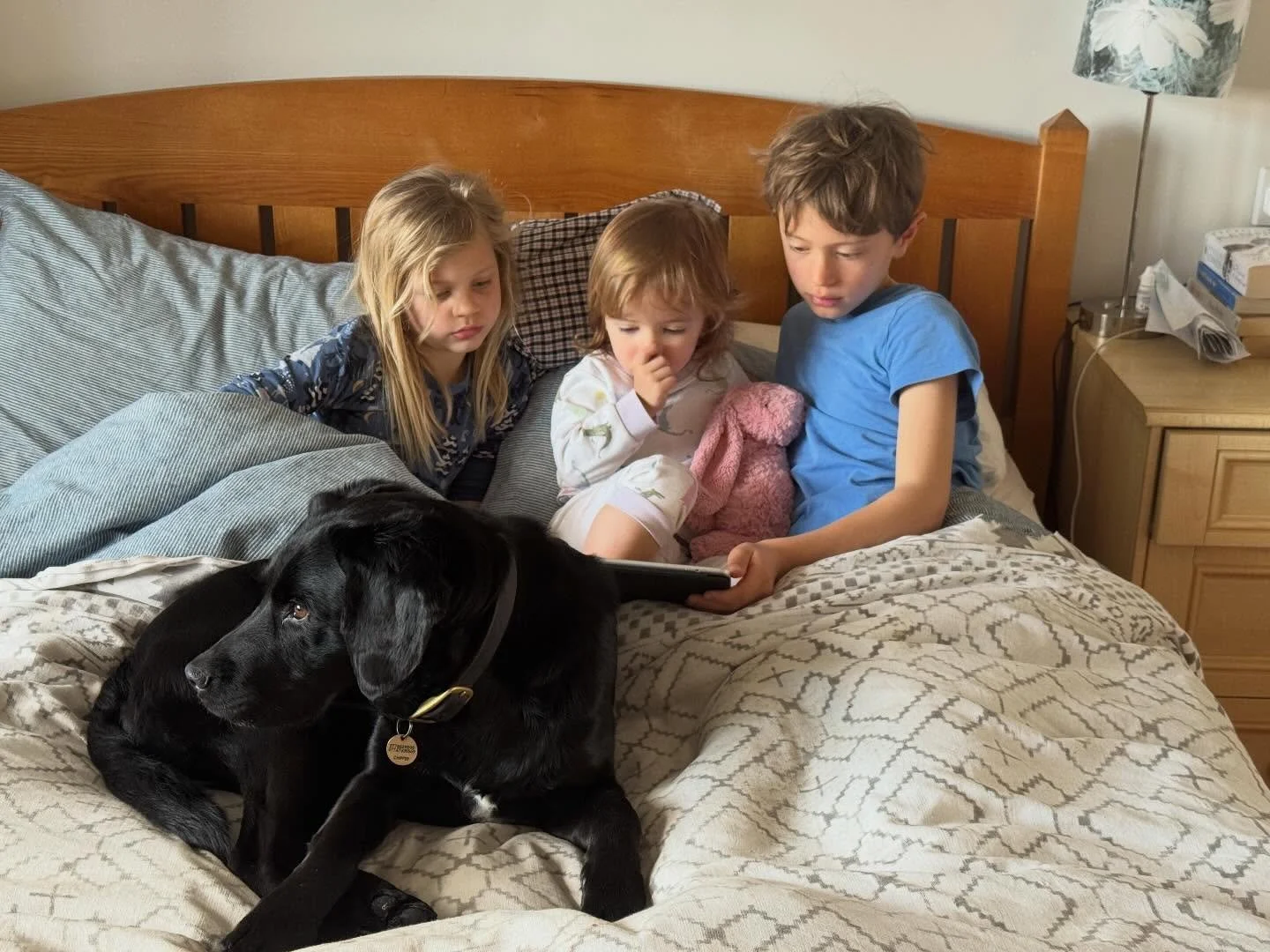 Sunday morning &hellip; 

#childrenanddogs