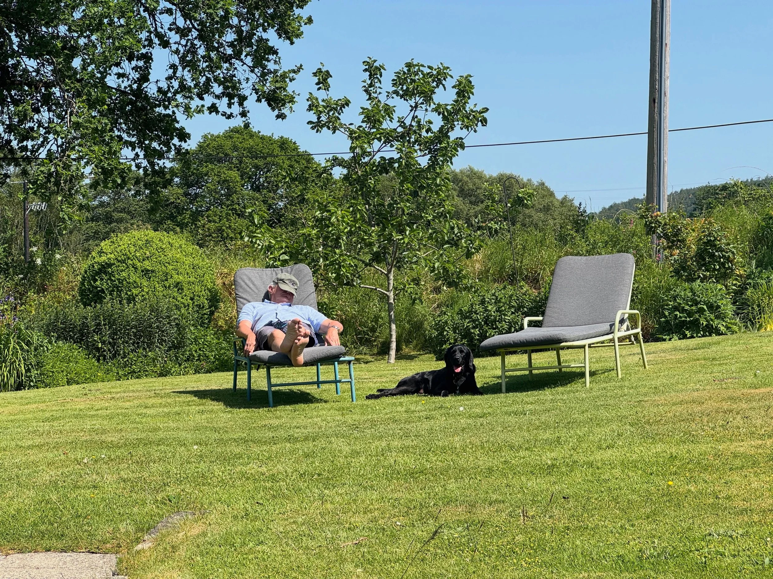 Dog day afternoon &hellip;

#freshbreeze