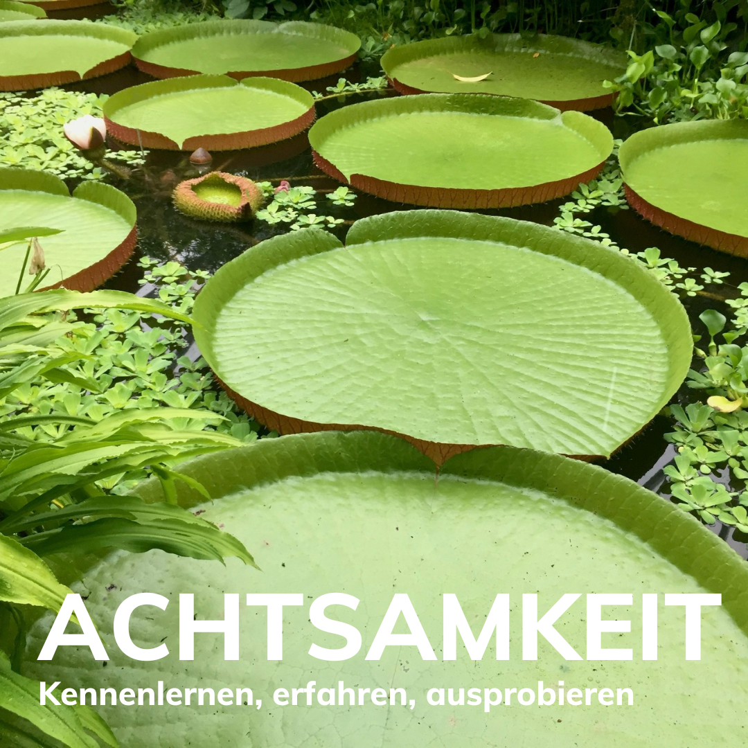 Achtsamkeit kennenlernen