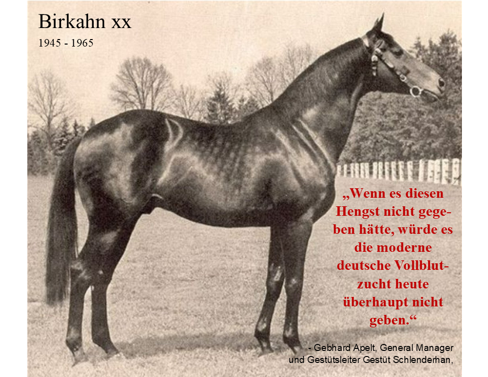 Deutsche Vollbluthengste in internationalen Pedigrees