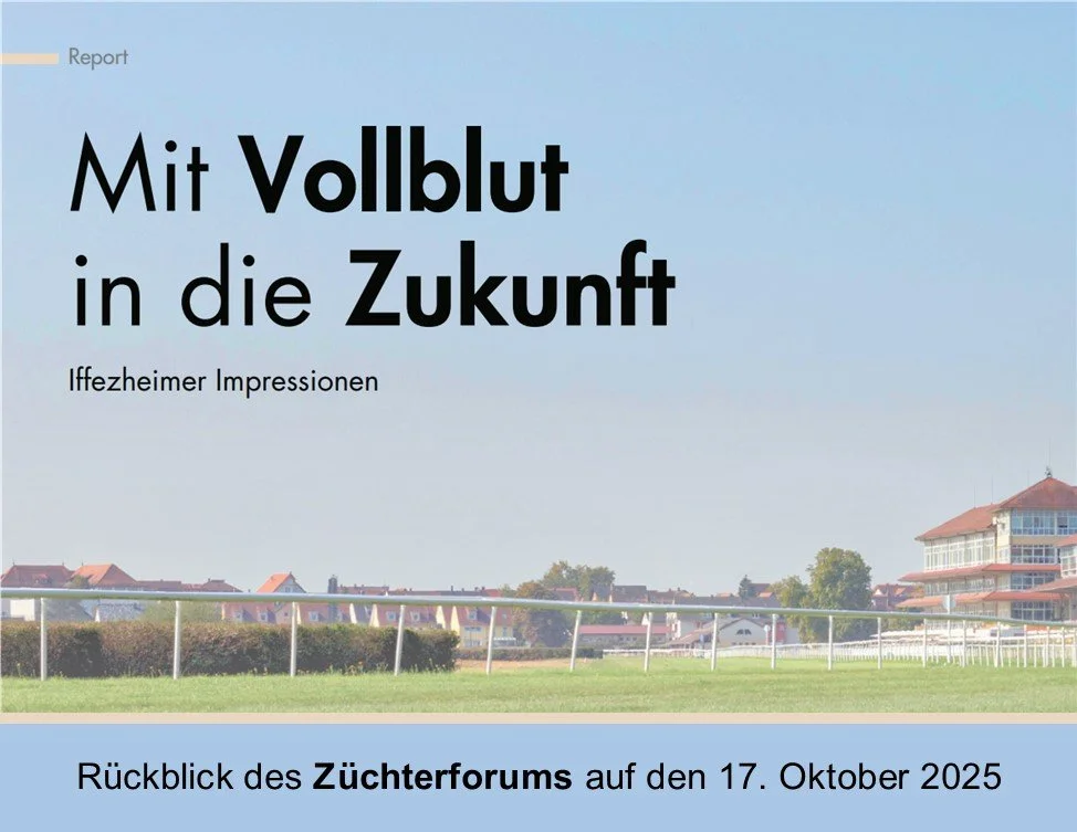 Mit Vollblut in die Zukunft - Iffezheimer Impressionen