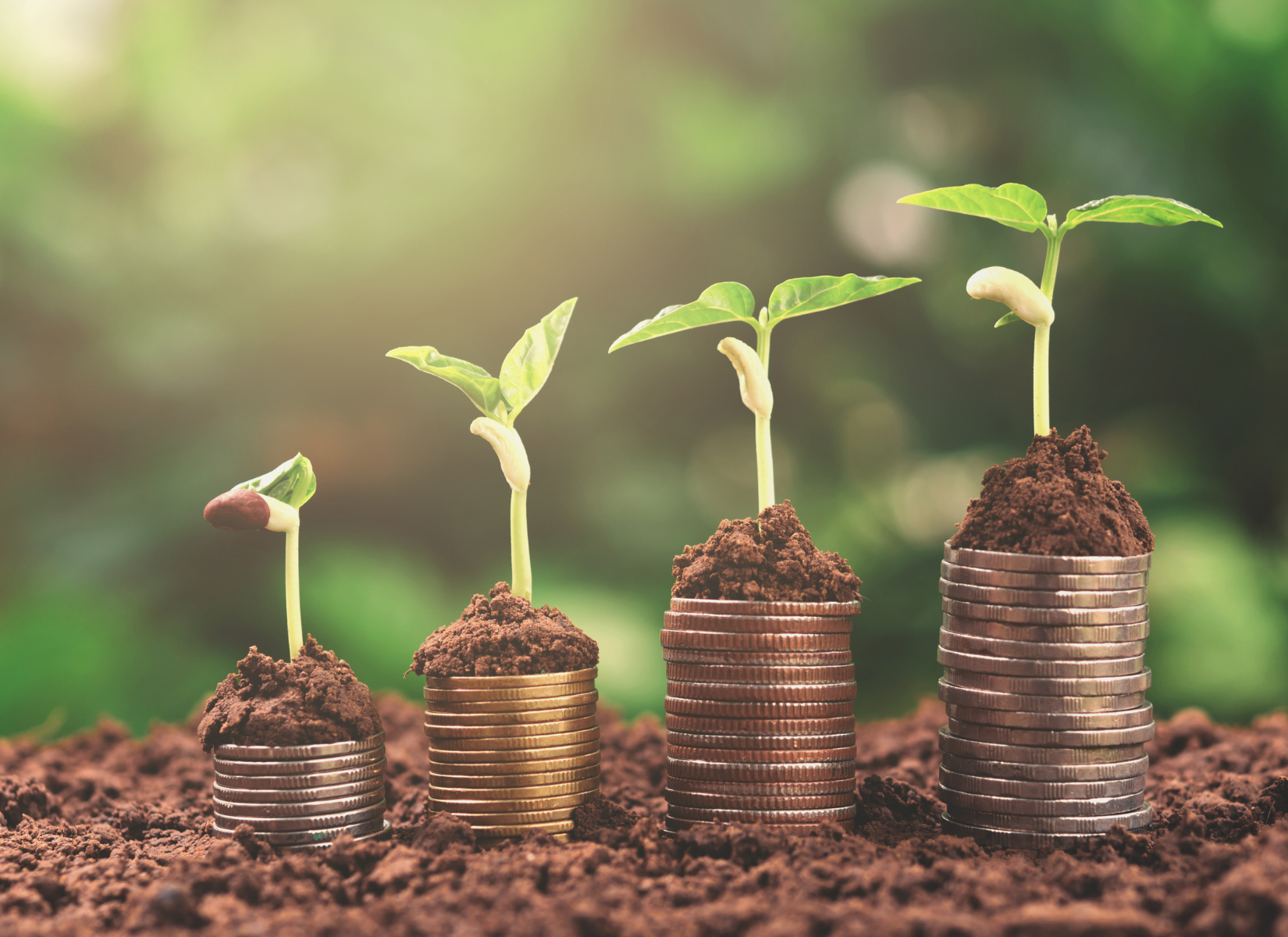 Zero-based budget: Hvad er det og hvordan bruger du det?