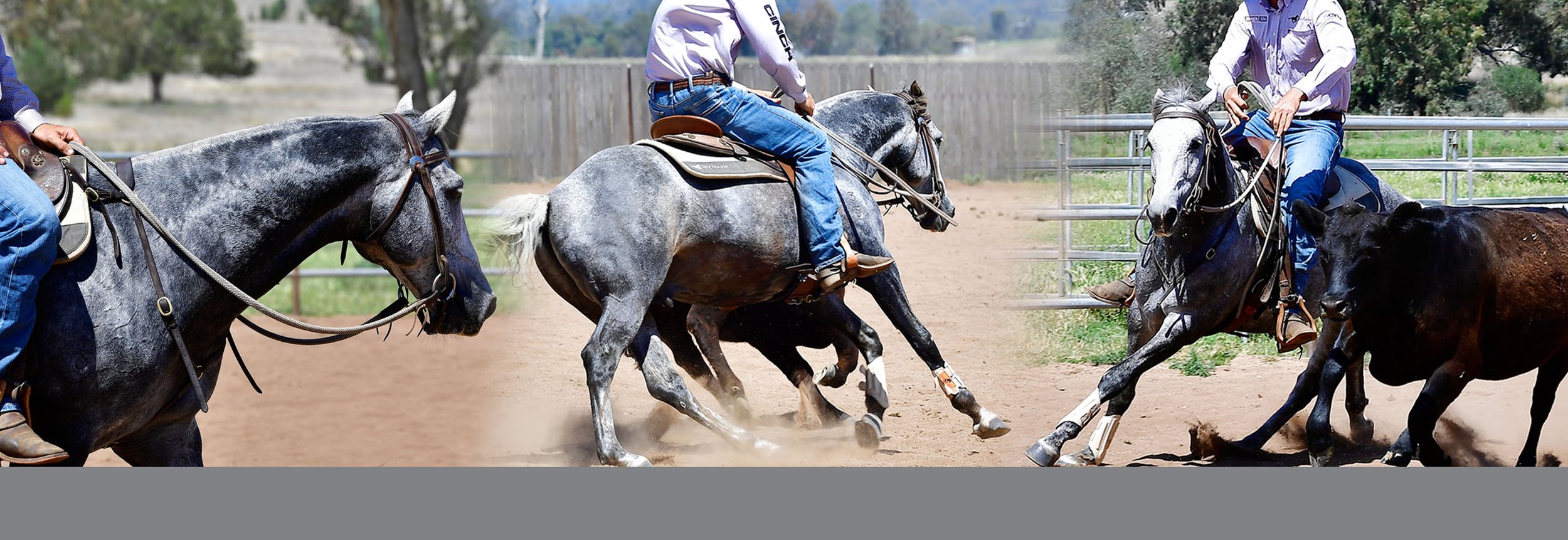 Grifter Benner x 3 Images.jpg