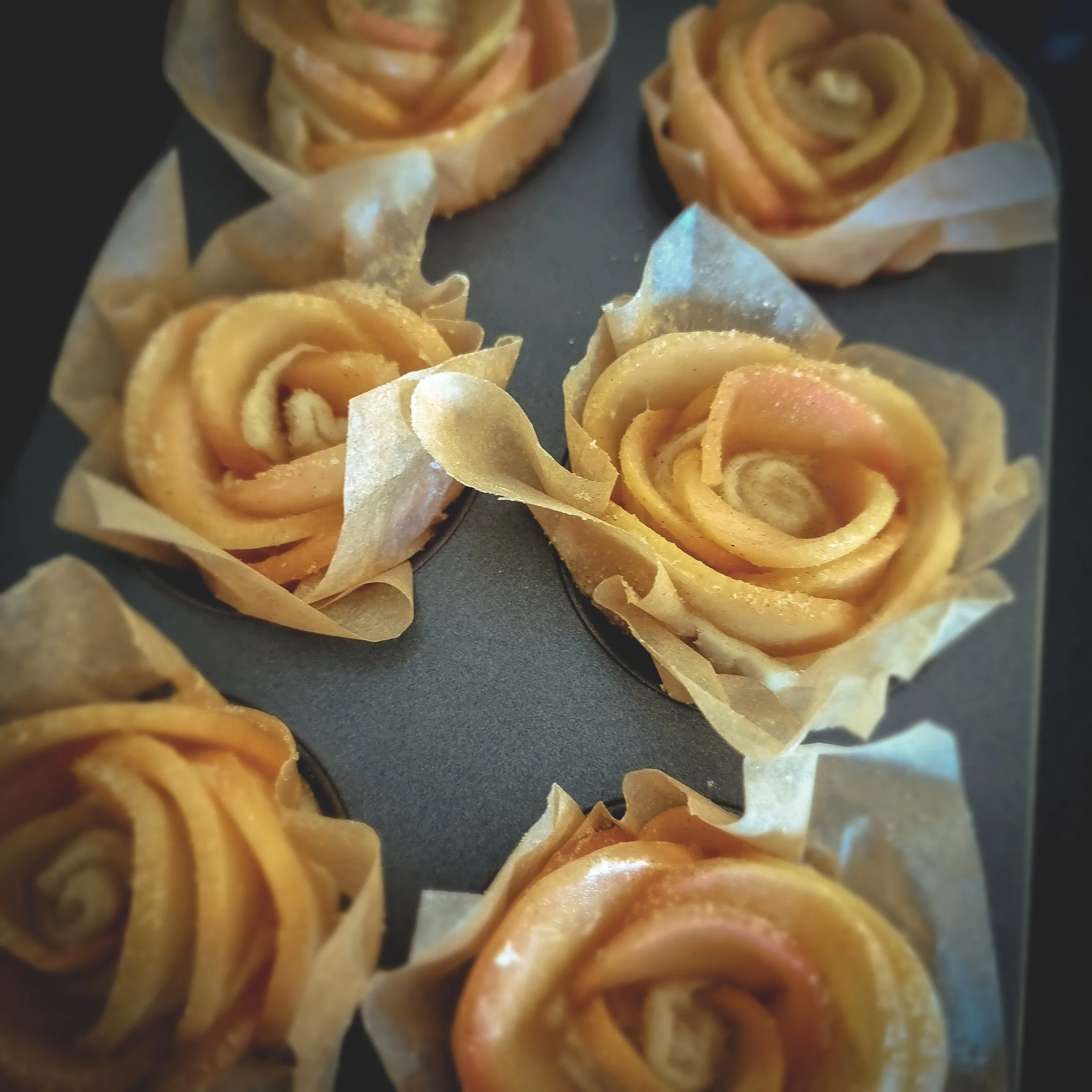 apple roses in a muffin tin lined with greaseproof paper ready to be placed in oven