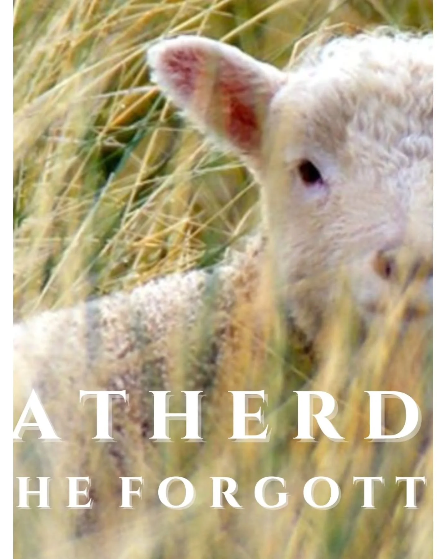 Goatherdess exists to give voice to the forgotten flocks &mdash;
rare breeds once kept in small numbers, whose wool clothed communities rather than feeding an industry.

Each year, we work only with the wool our rare breed sheep and mohair goats give