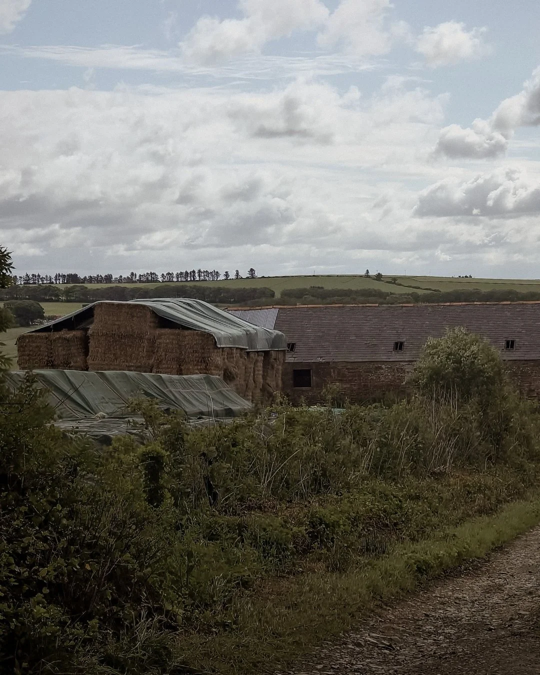 From field to fibre. From fibre to form.
This is where it begins.

Bales resting under wide Highland skies,
the quiet pause between harvest and making.
Before the cloth, before the garment,
before it finds its way into your wardrobe.

Here, wool gath