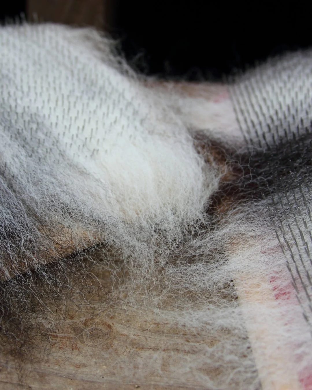 From fleece to fabric: carded wool is where the magic begins, soft fibres ready to be turned into something timeless.

#cardedwool #pasturetogarment #goatherdess #woolfibres #wool