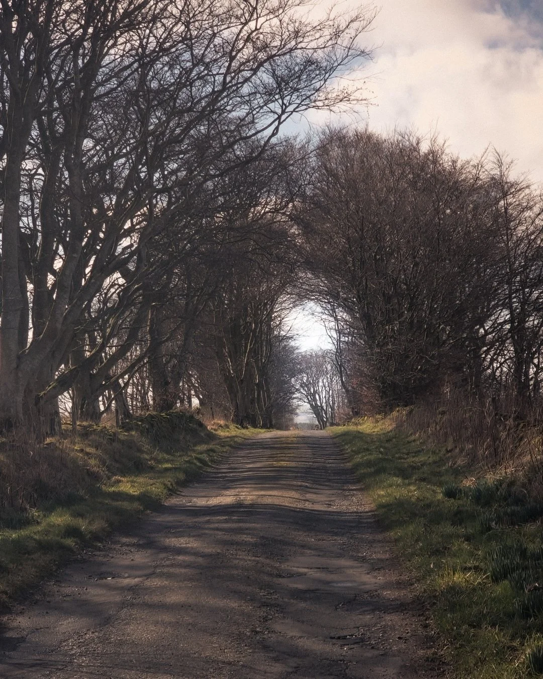 Along a winding pathway, where the trees lean together to form a quiet keyhole, lies a tiny farm &mdash; shaped by a deep love for rare-breed sheep and goats, and with the wool they gift, crafted with purpose and care.

Here, clothing and literature 