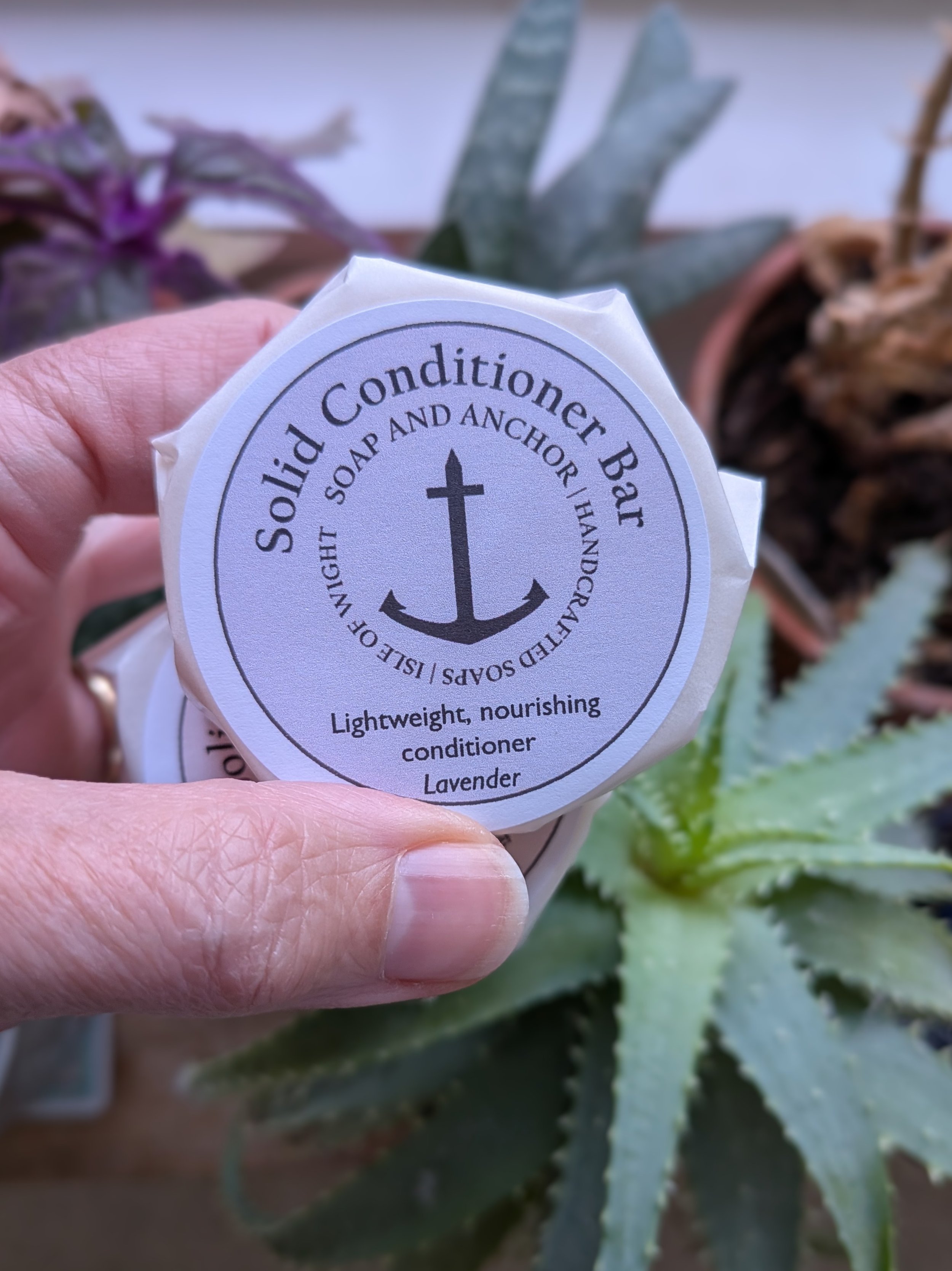 Solid Conditioner Bar (Net Wt. 30g)