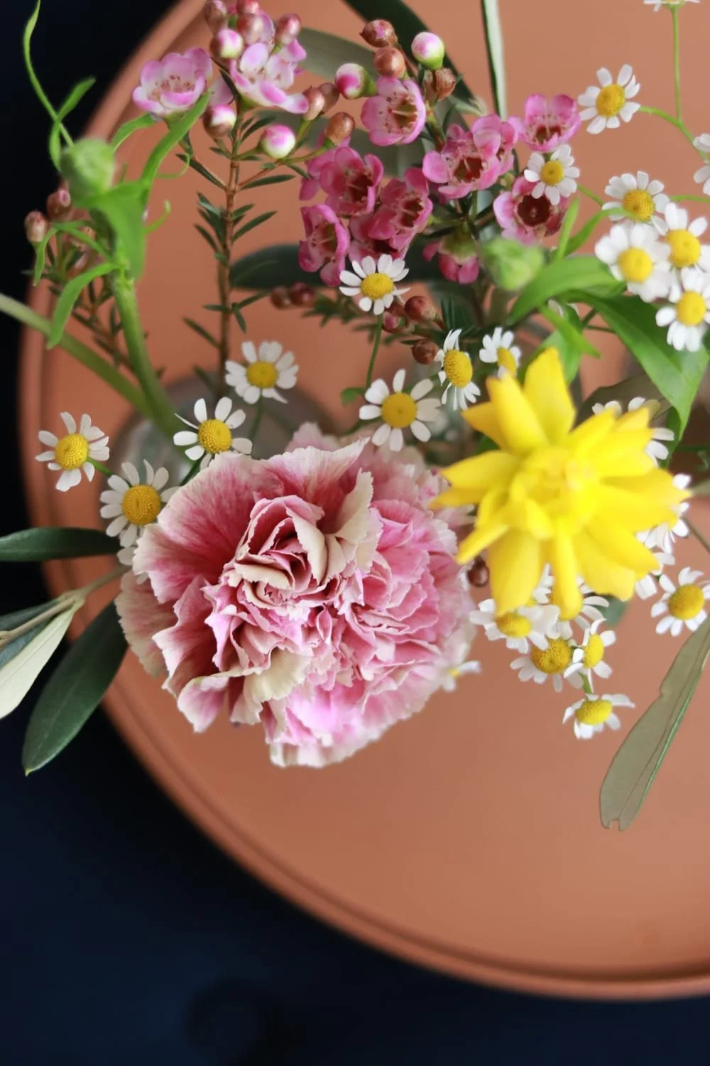 WhatsApp Image 2026-01-29 at 15.52.21.jpeg