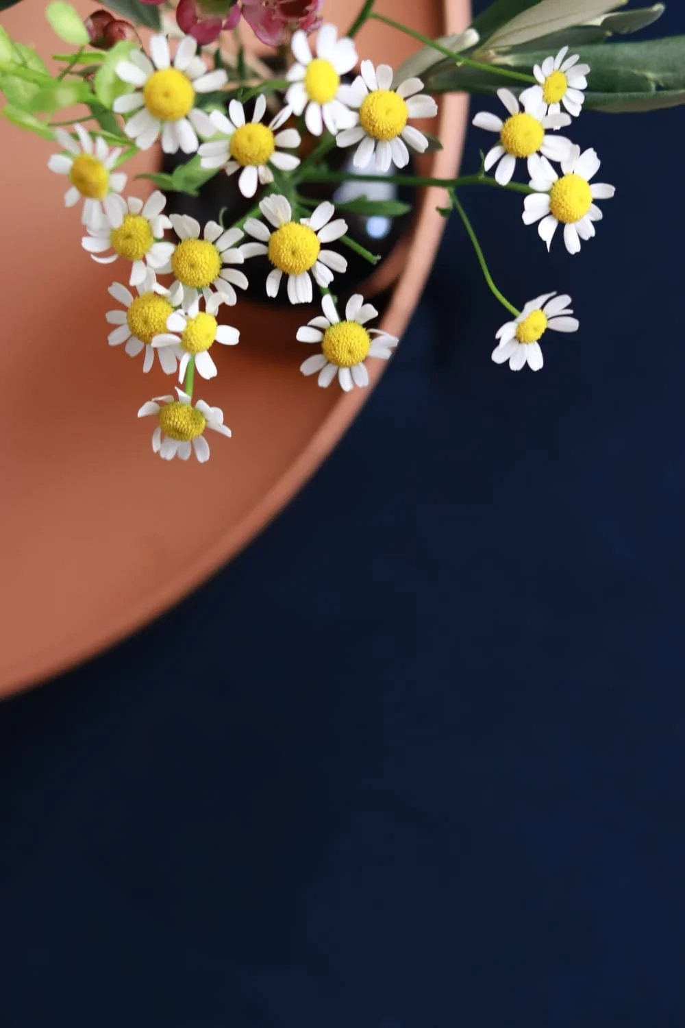 WhatsApp Image 2026-01-29 at 15.52.21 (6).jpeg