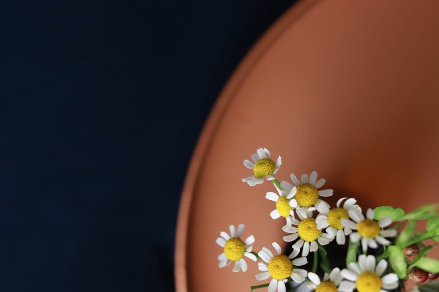 WhatsApp Image 2026-01-29 at 15.52.21 (5).jpeg