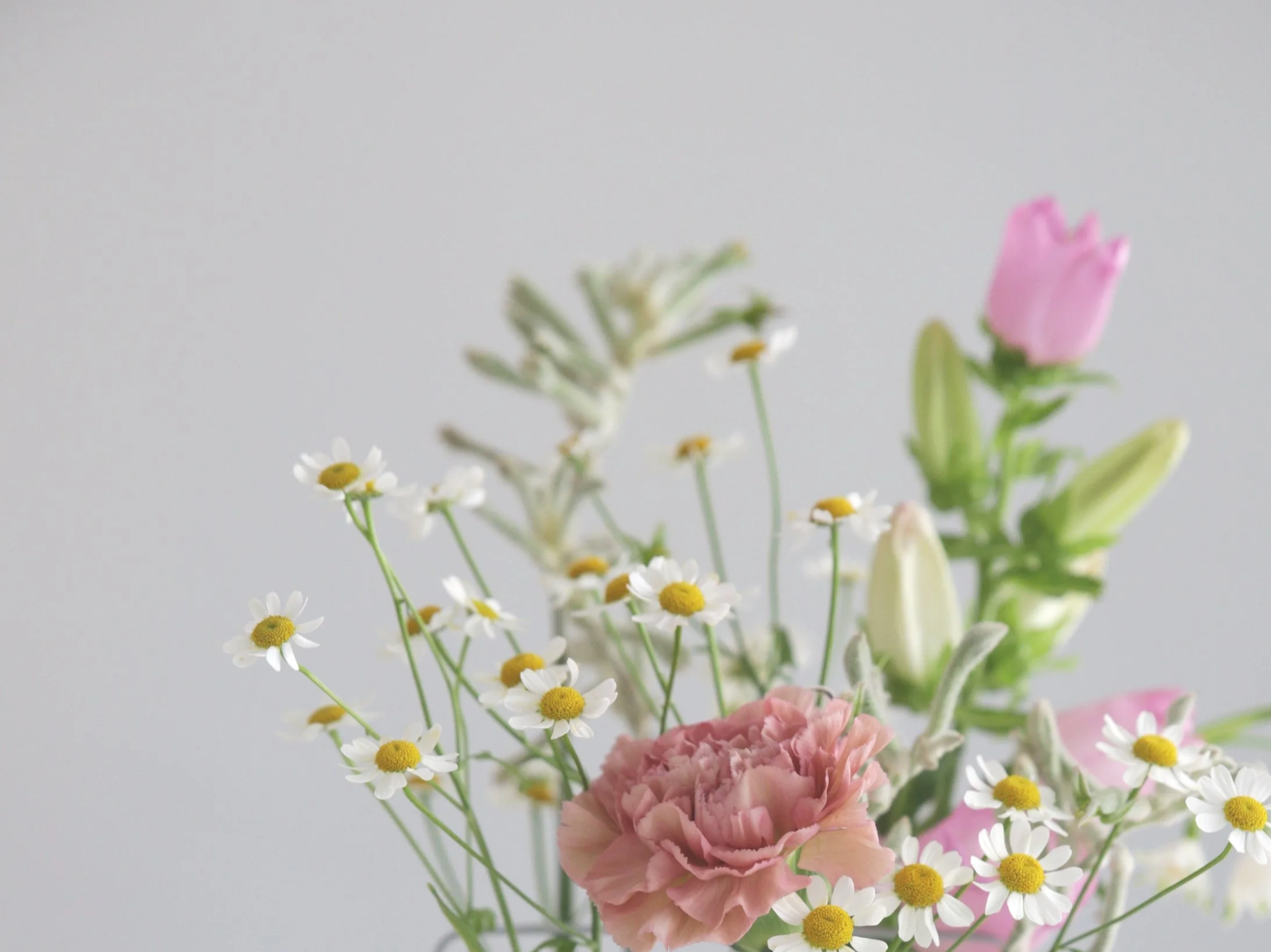 einzigARTig Blumen