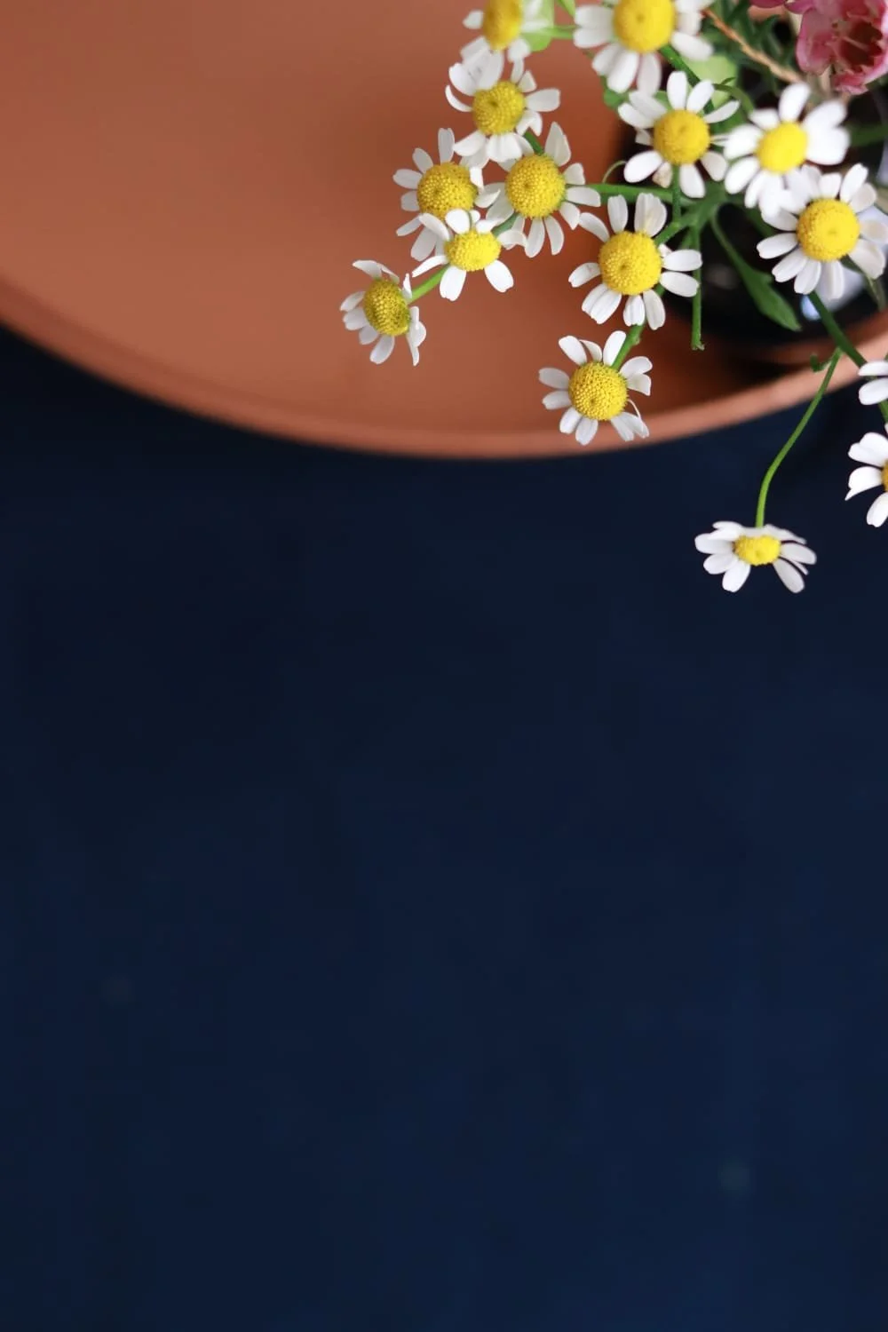 WhatsApp Image 2026-01-29 at 15.52.21 (4).jpeg