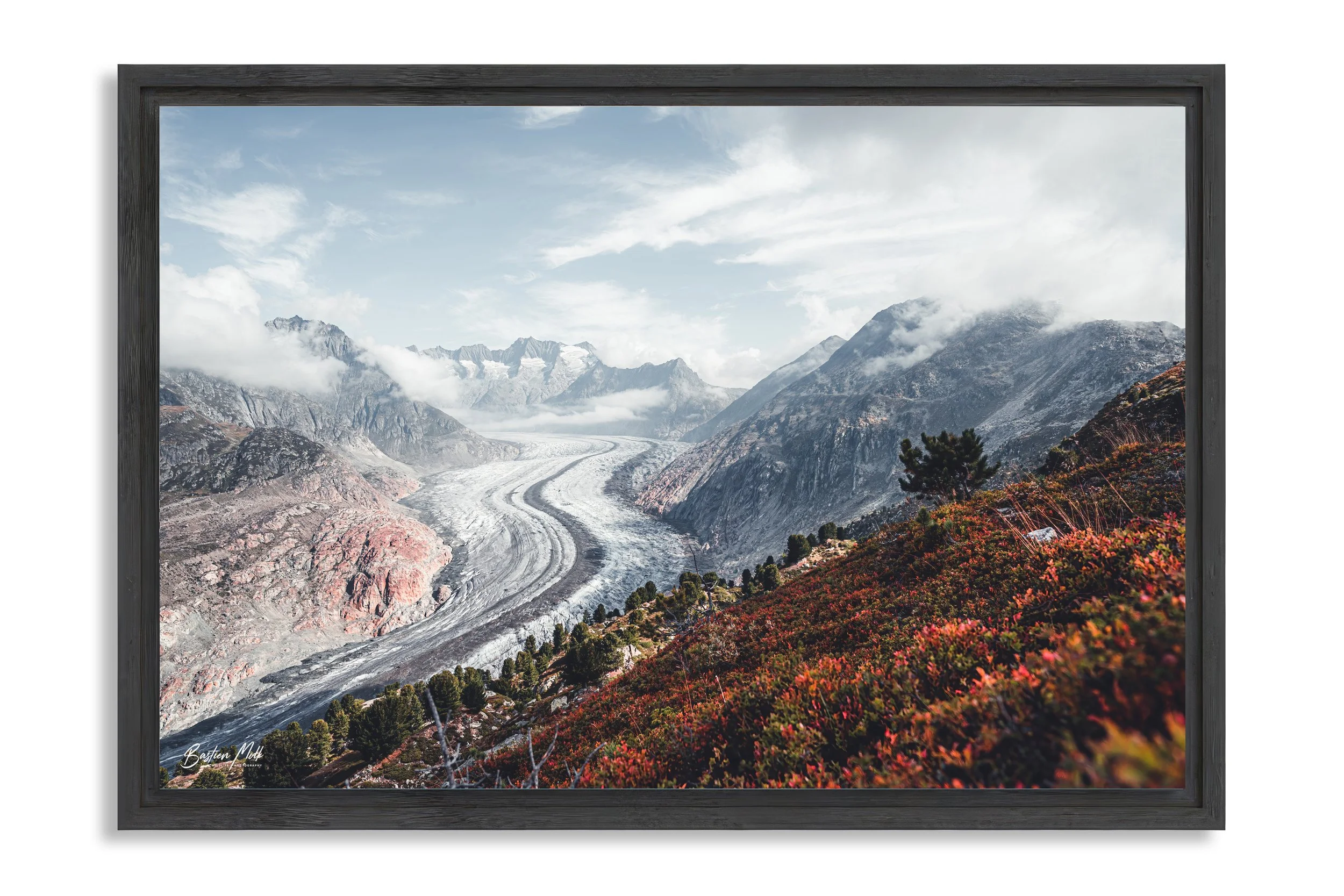 aletsch1.jpg