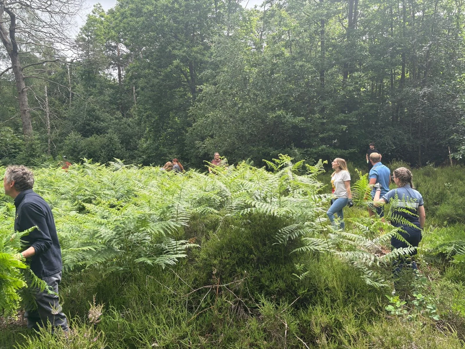 Giving Back to Nature at High Woods Country Park 🌿