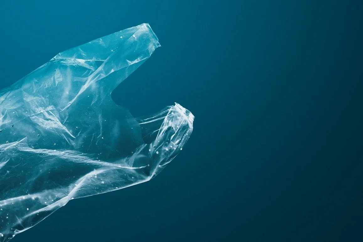 Plastic Free July