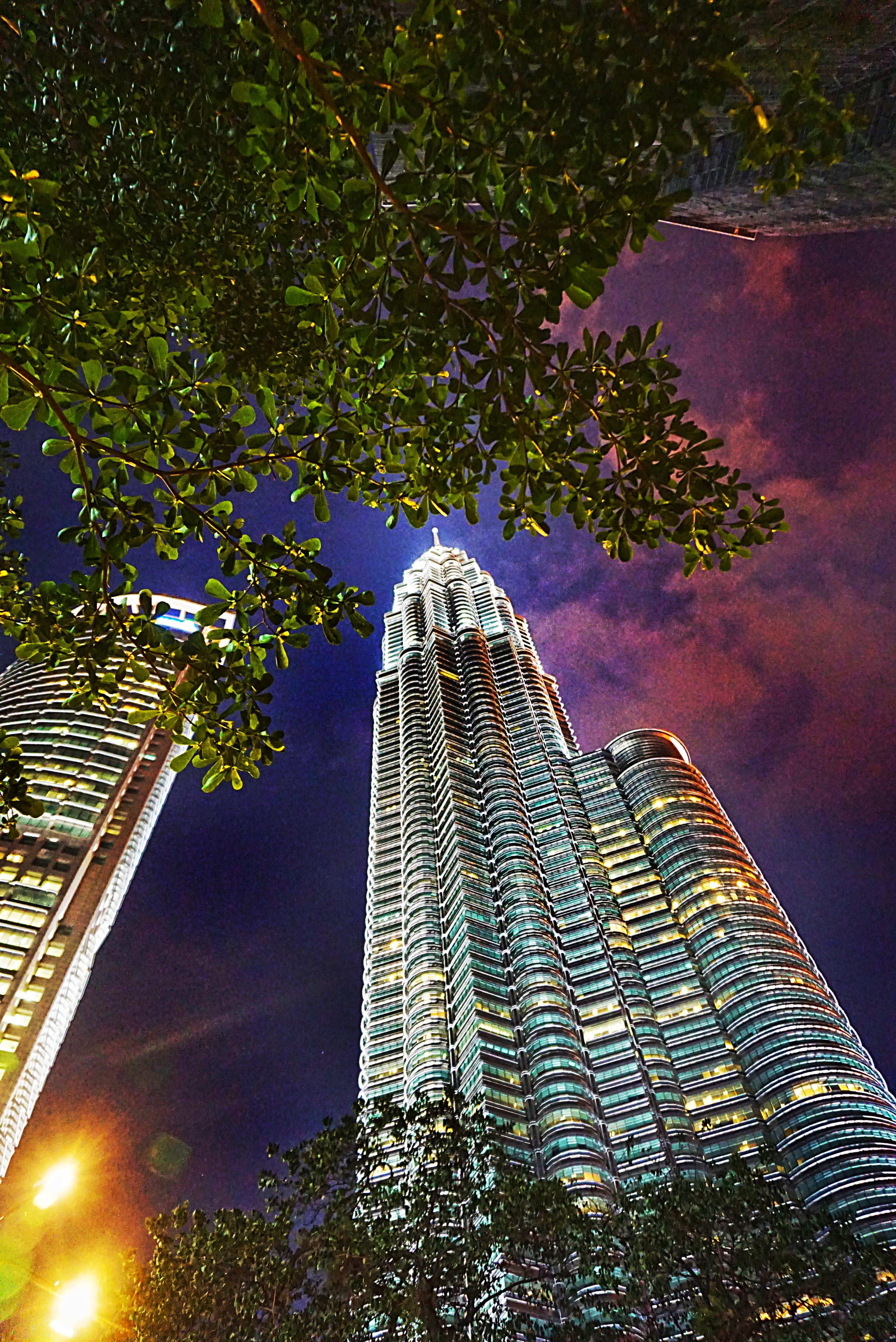 DSC00778kl.jpg