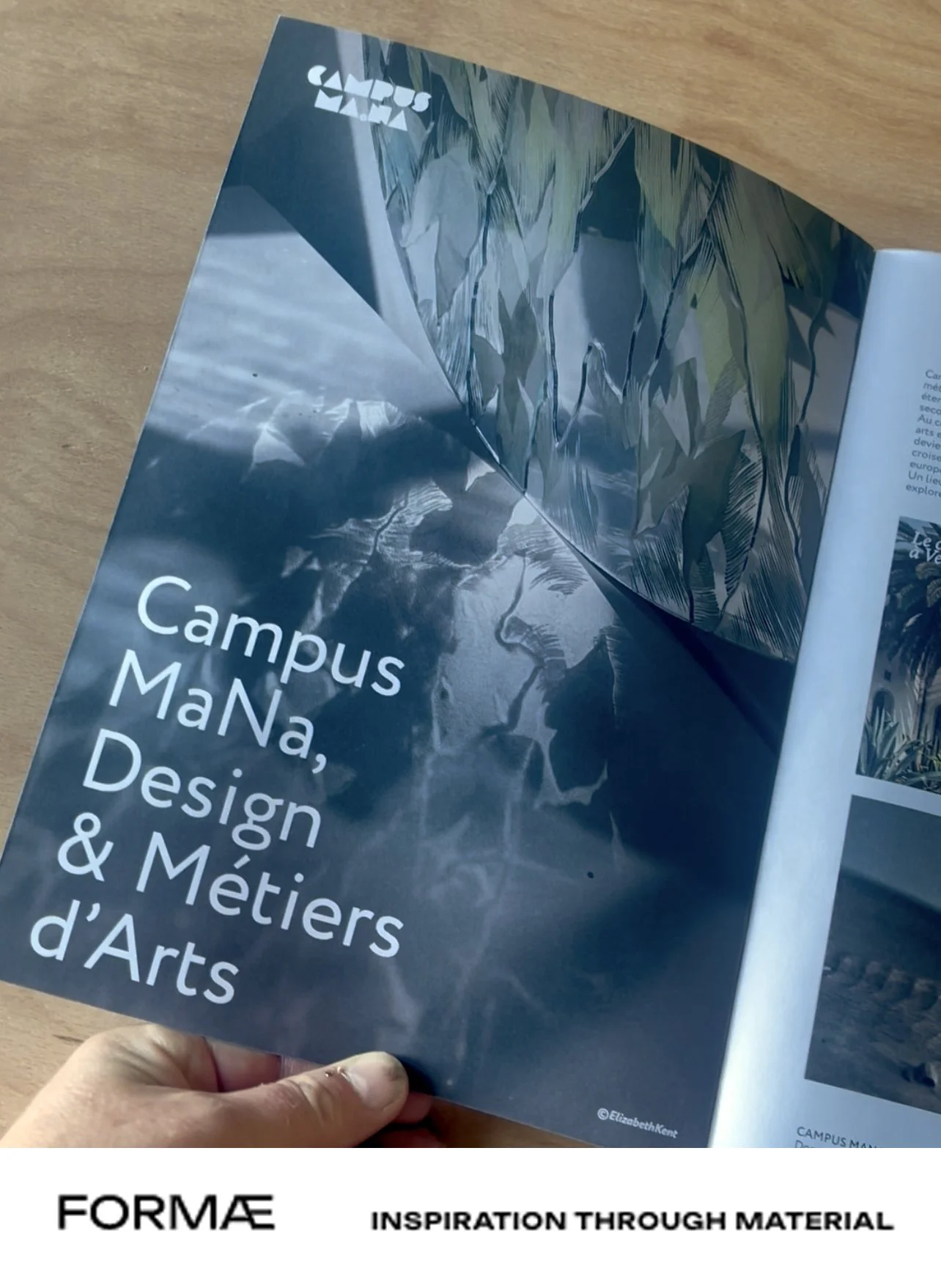 Photo of artwork in Formae Magazine.