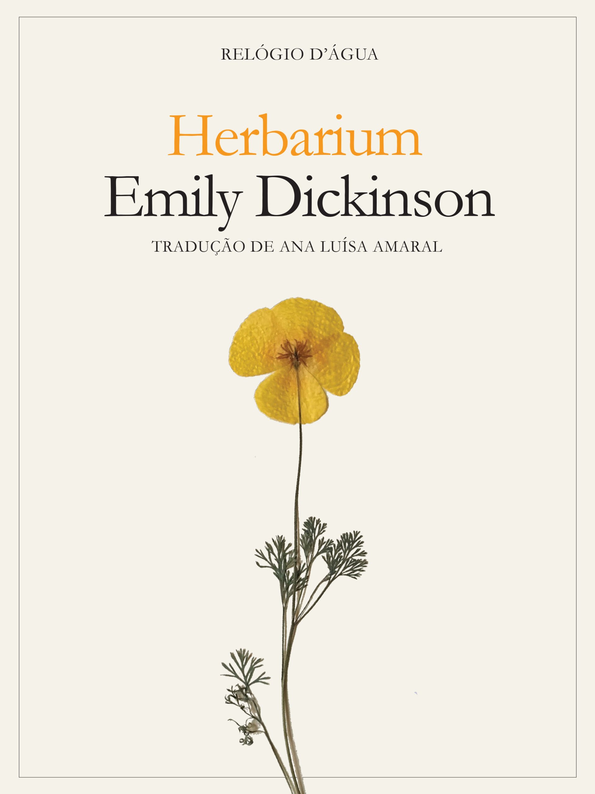 herbarium.jpeg