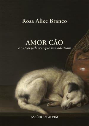 amorcao.jpeg
