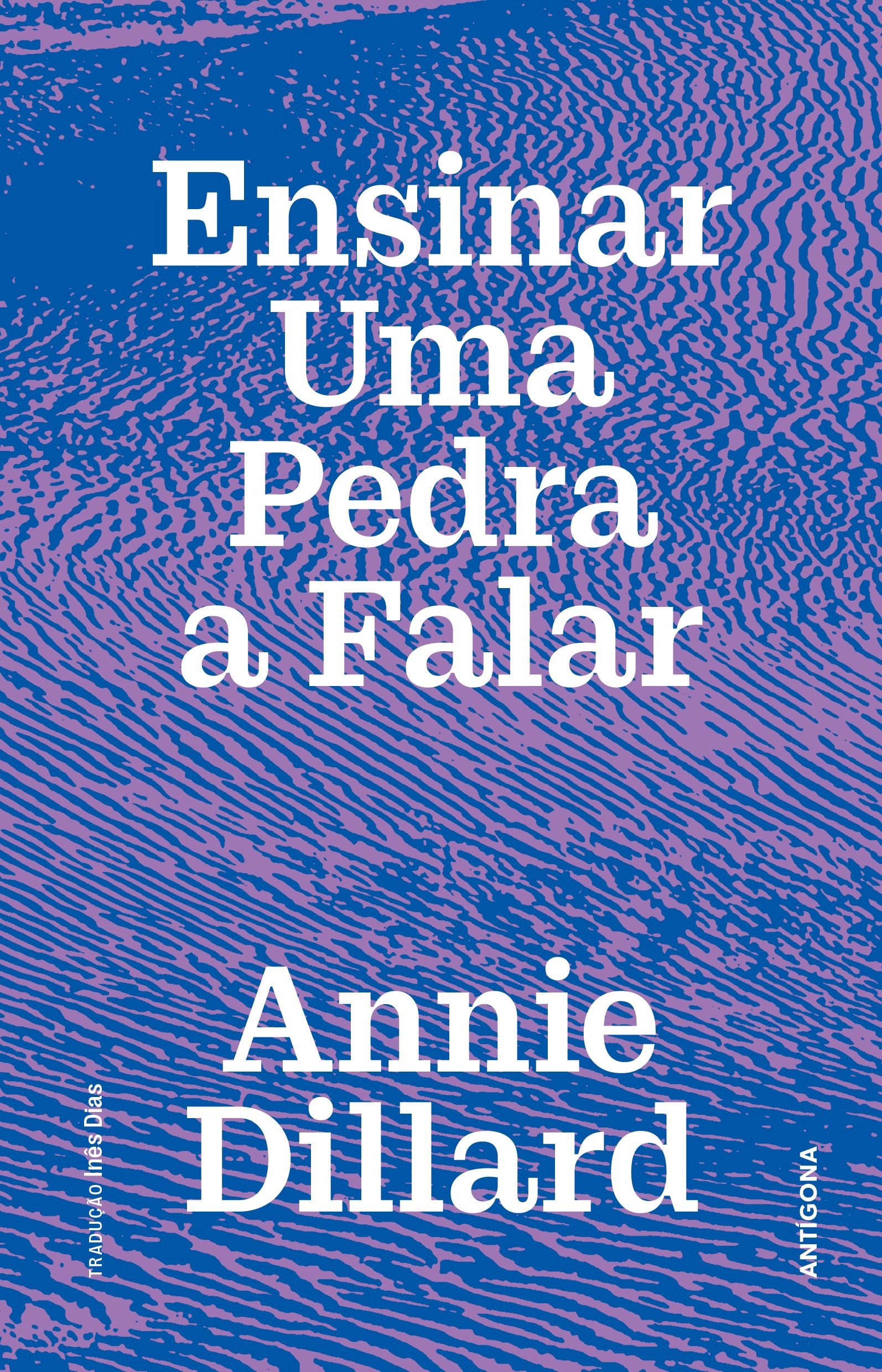 Ensinar uma pedra a falar