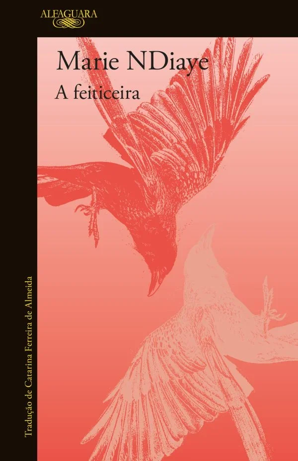 A feiticeira (pré-venda)