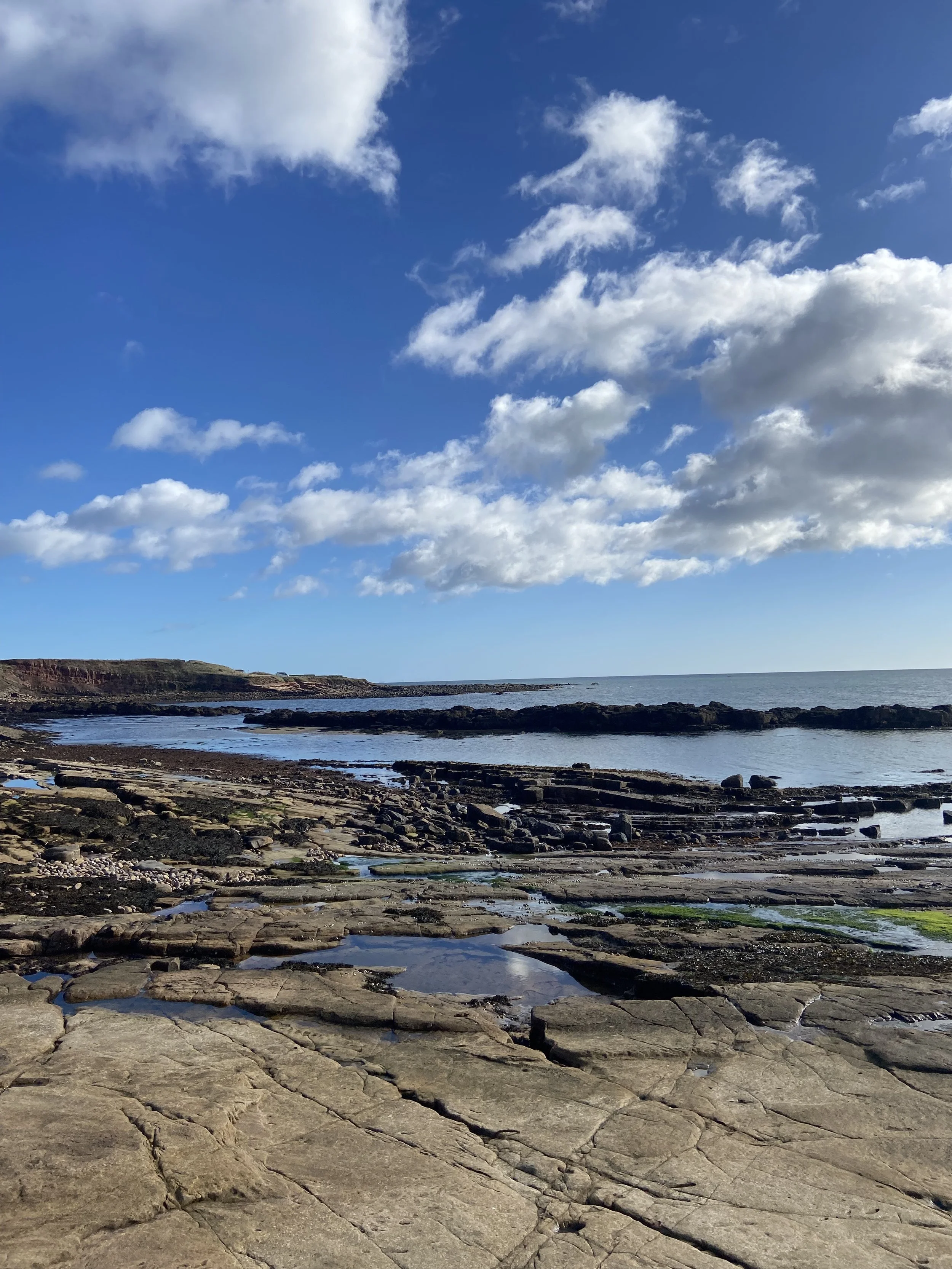 Roome Bay Crail copyright Balcomie Links Hotel.jpeg