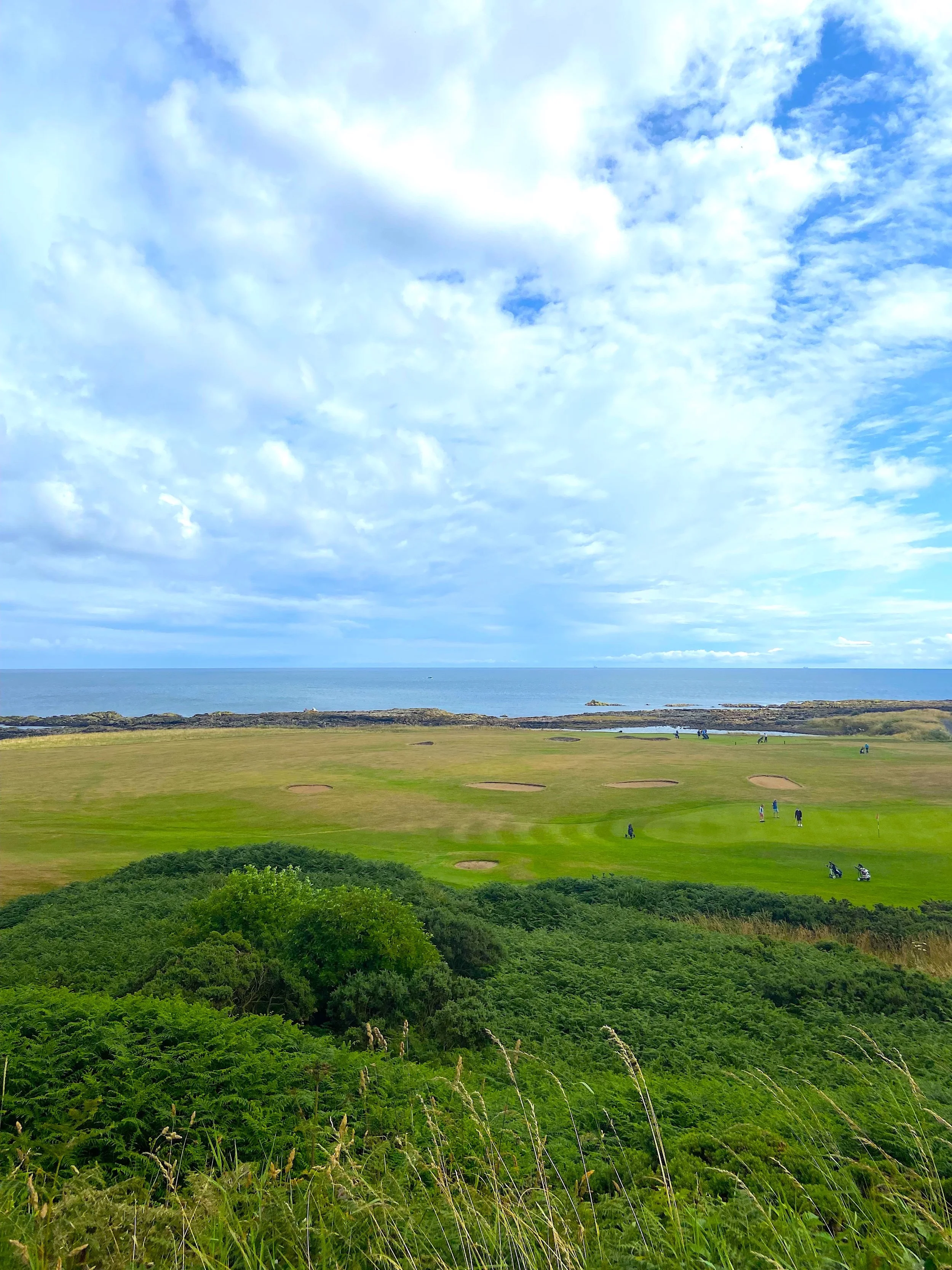 Balcomie Links Course opening image for Balcomie Links Hotel.jpeg