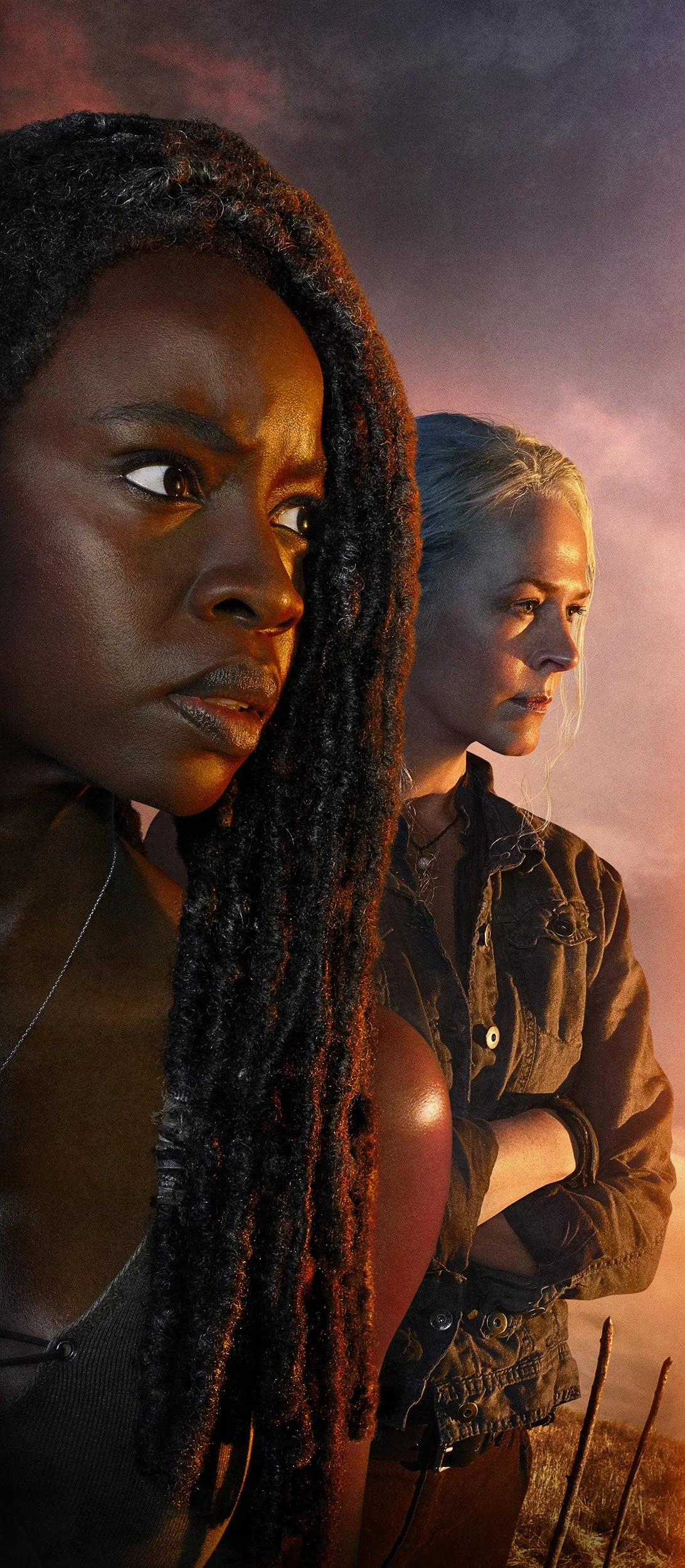 amc-the-walking-dead-michonne-elevator-door.jpg
