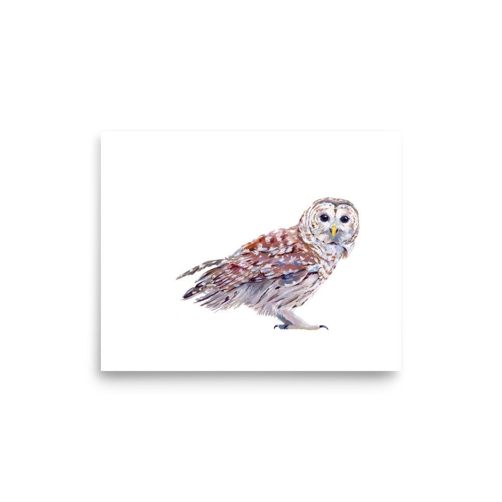 enhanced-matte-paper-poster-(in)-8x10-front-673b997982750.jpg