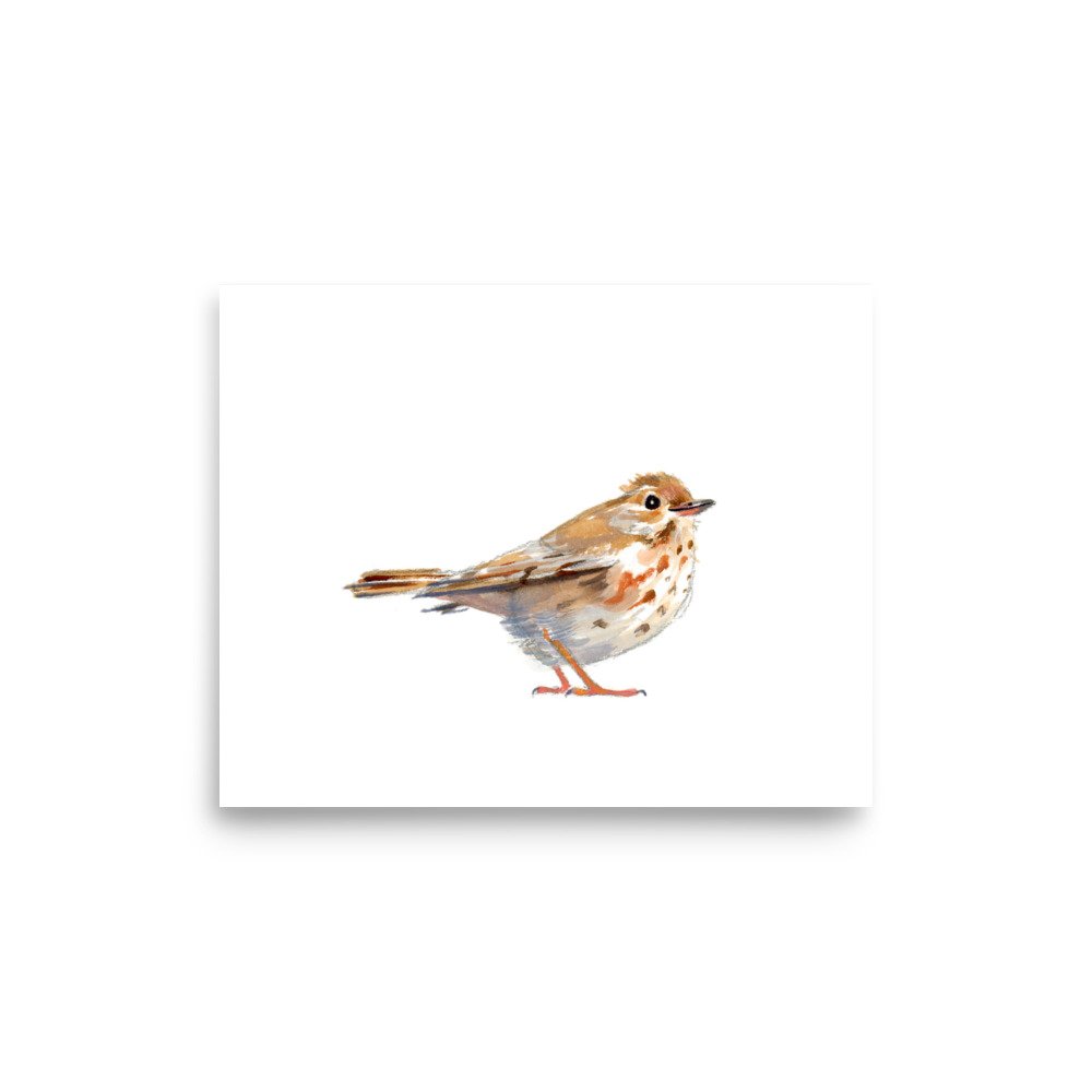 enhanced-matte-paper-poster-(in)-8x10-front-673b9a174f520.jpg