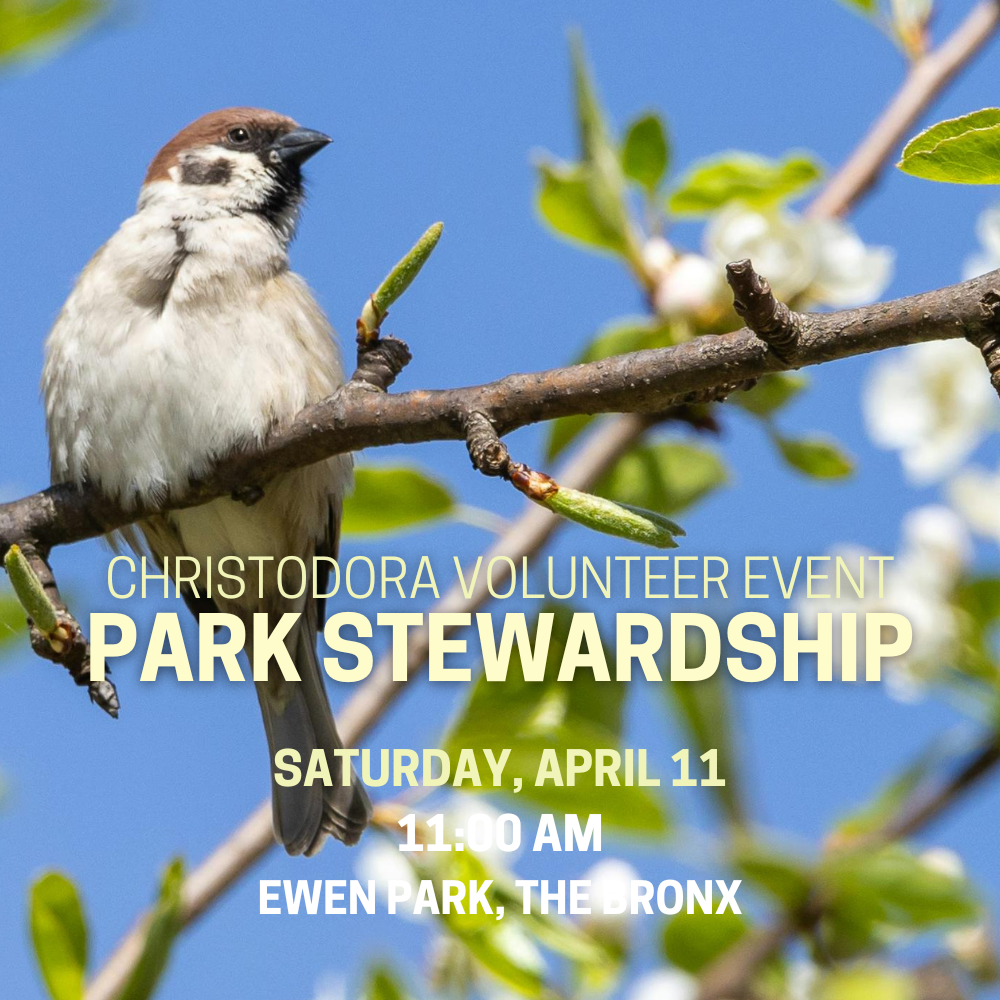 Spring Public Volunteer Event