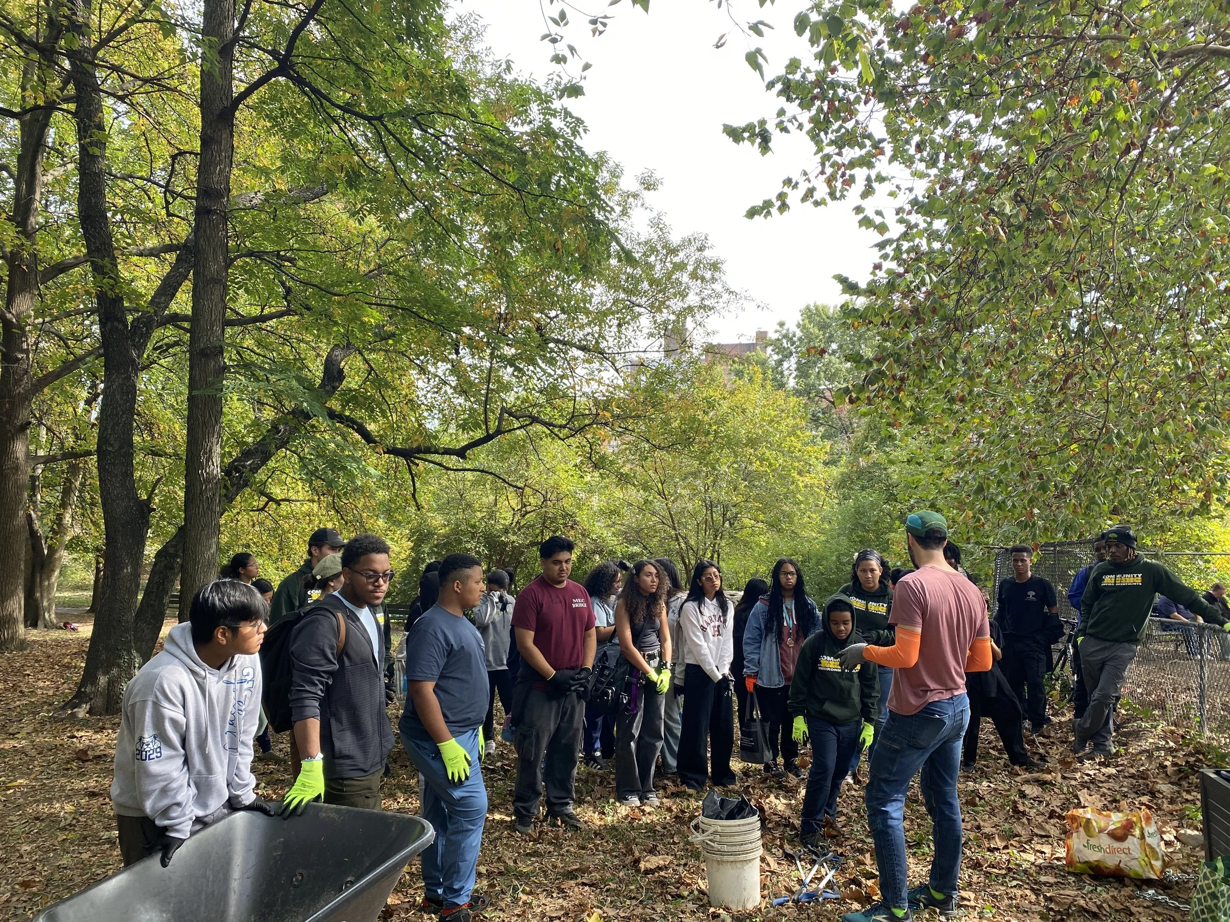 Autumn Volunteering Event with Christodora